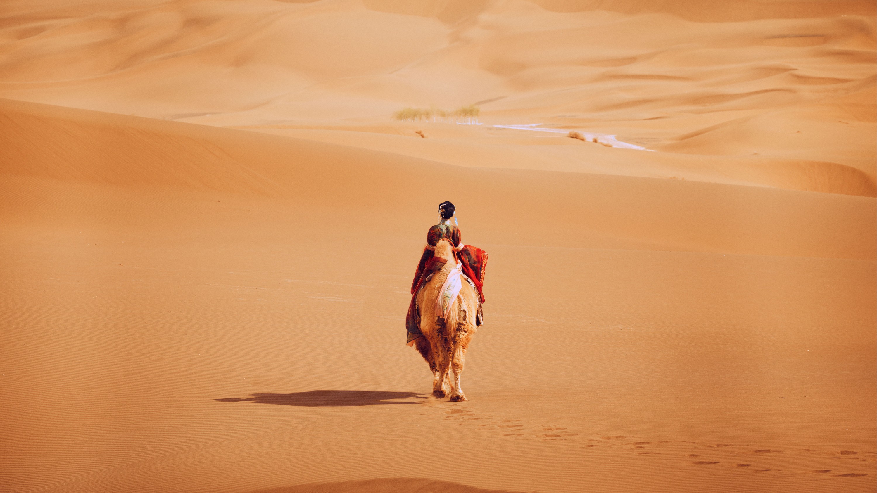 兔小白 – 《大唐西域记》[26P]