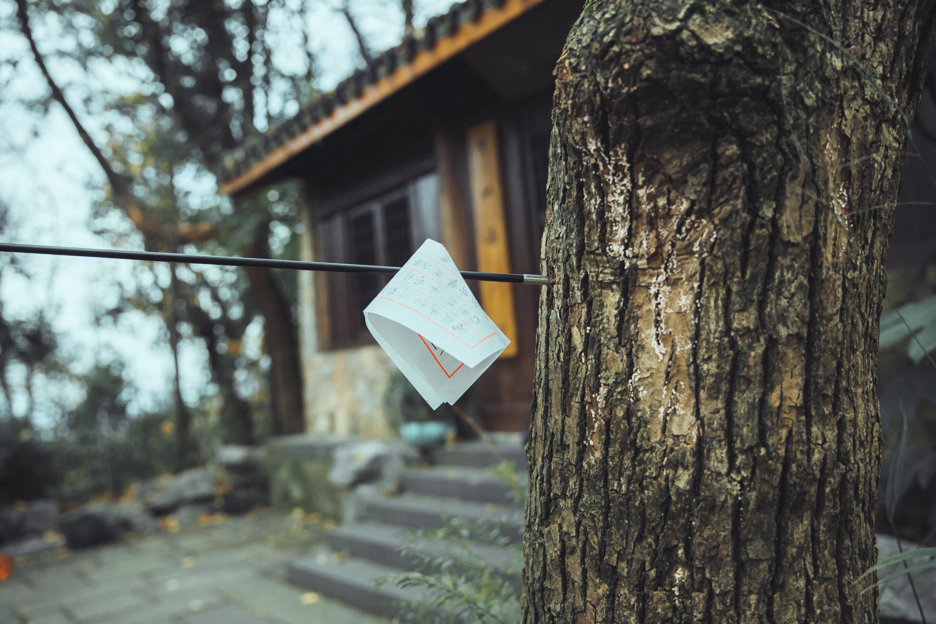 庄翰_Roya – 《绣春刀》[31P]