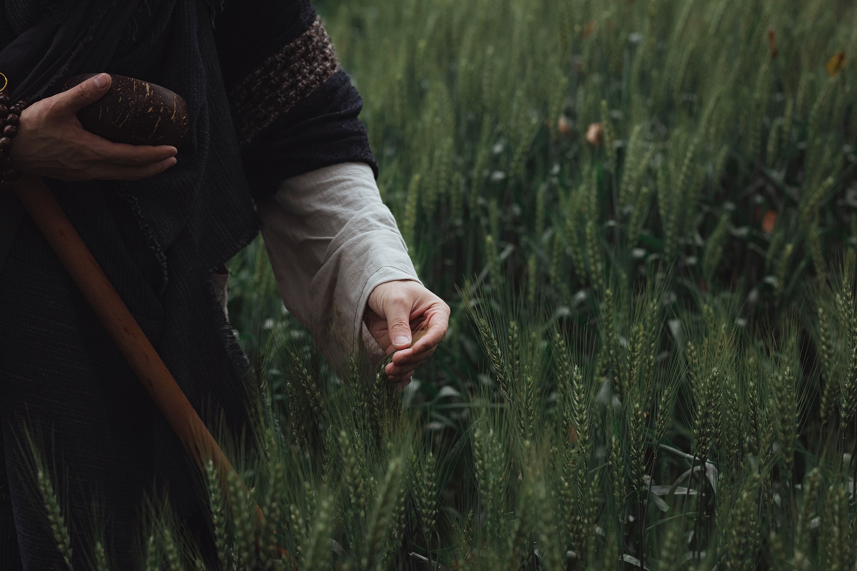 辣条师傅 – 《游僧》[34P] 插图4