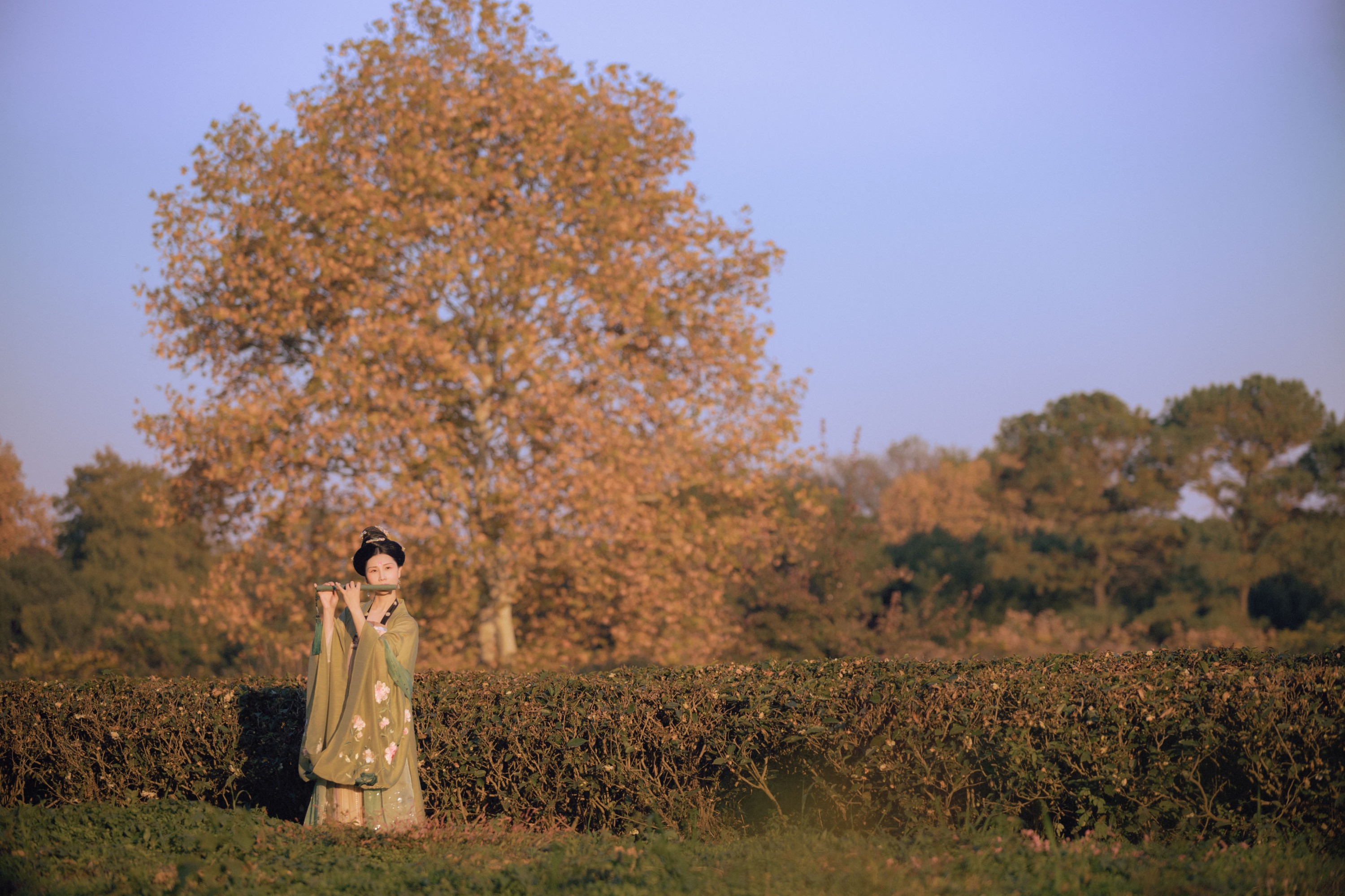 v唱小游v – 《苏幕遮》[26P]