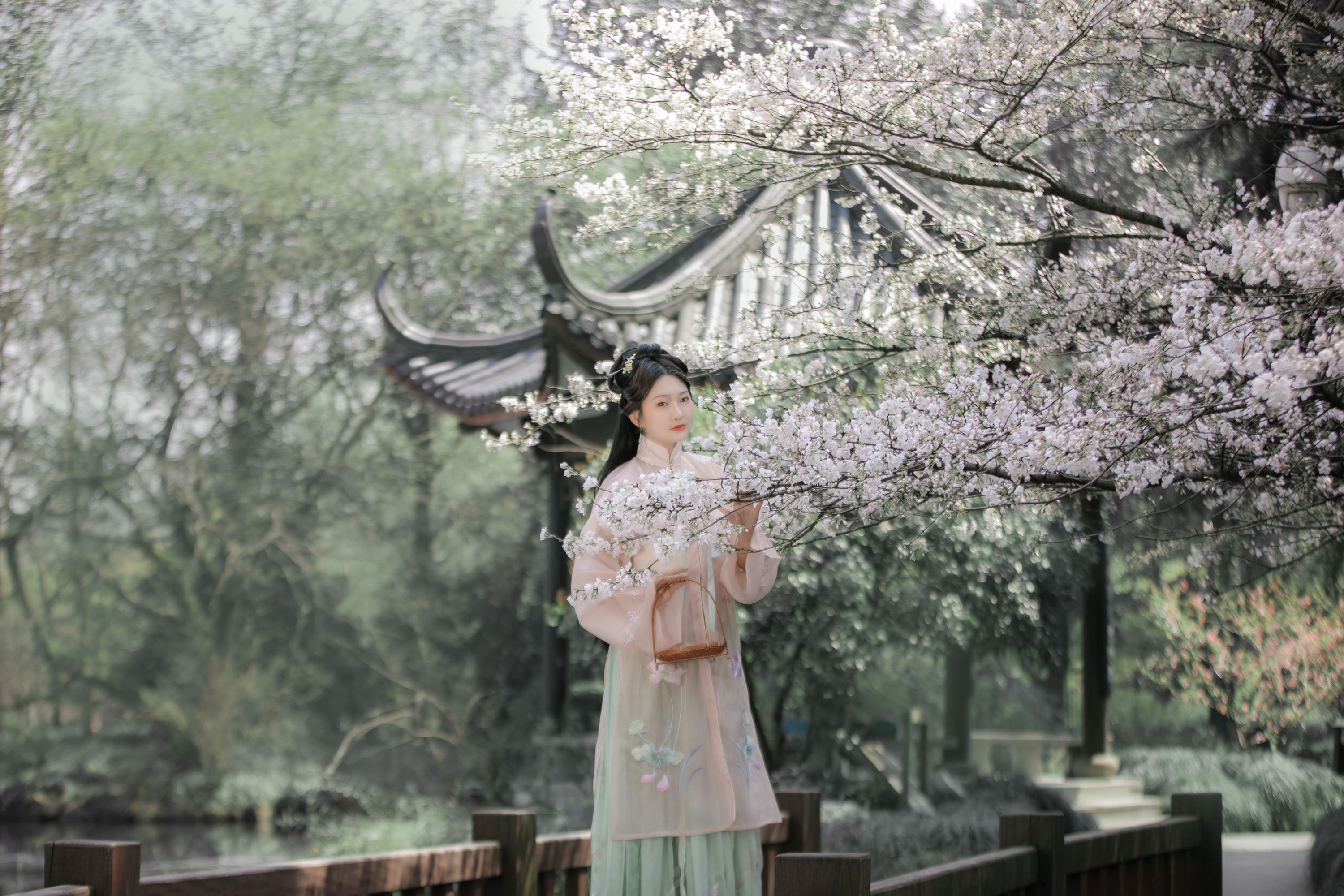 包包 – 《樱》[22P]