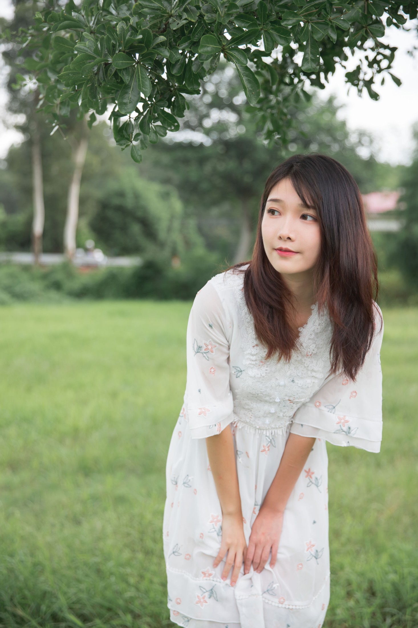 湘湘 – 《阳光玫瑰》[23P]