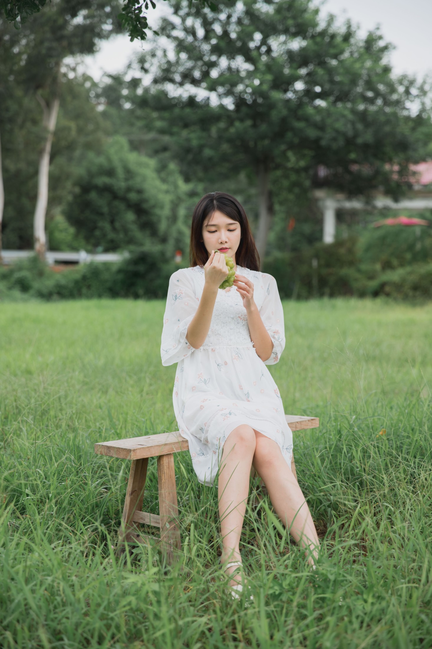 湘湘 – 《阳光玫瑰》[23P]