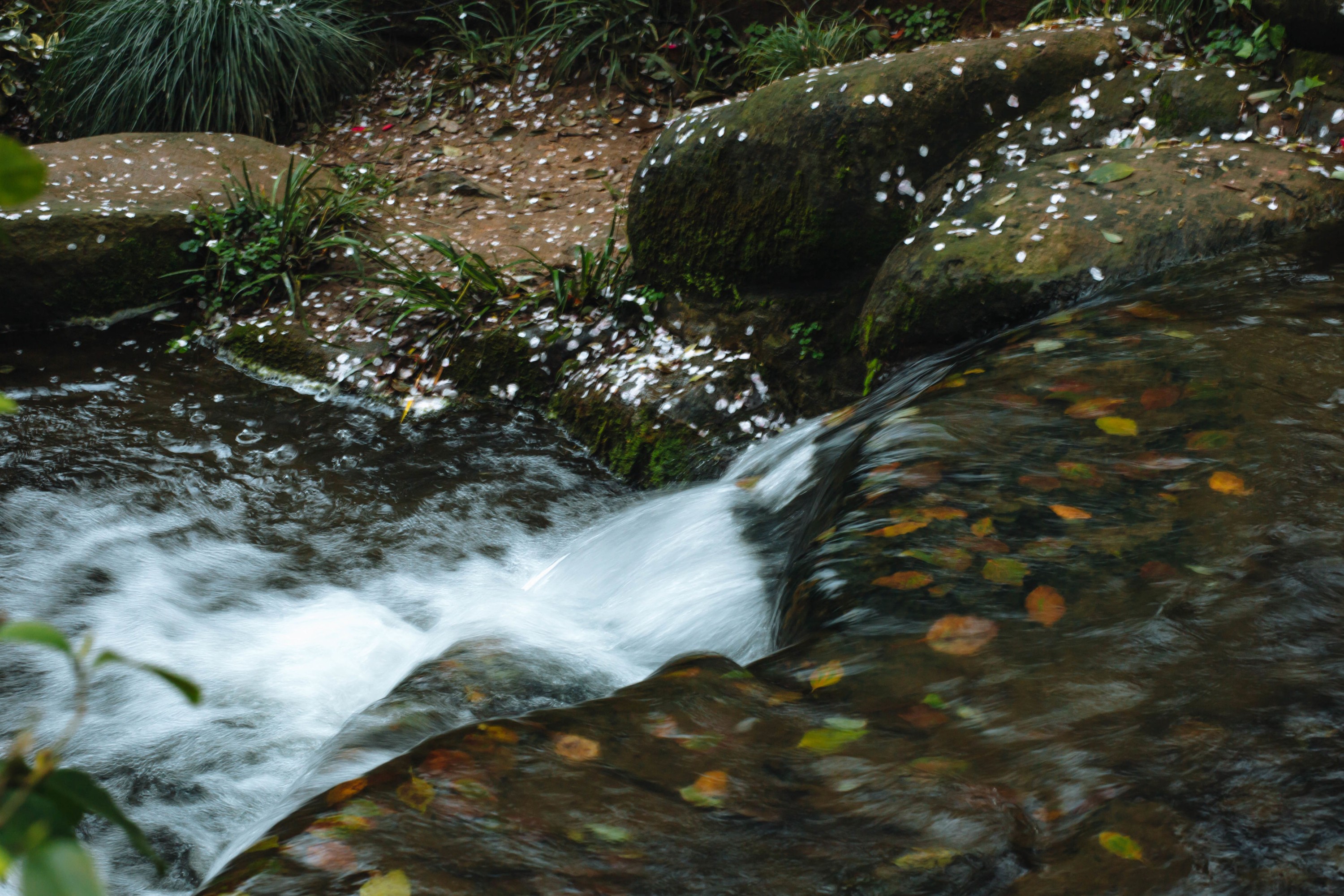 老乔kyo-presso – 《犬侍》[21P] 插图5