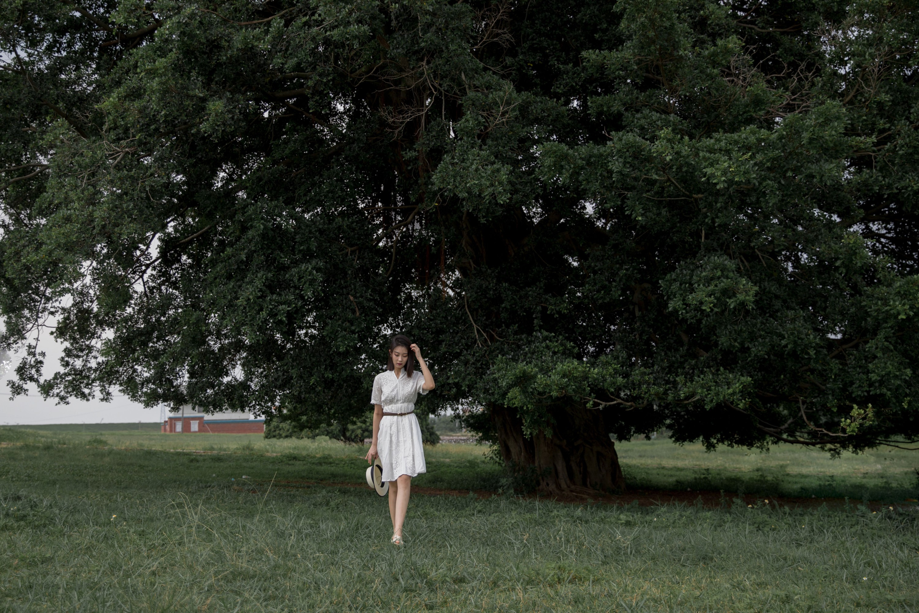 Neida – 《流浪》[22P] 插图4