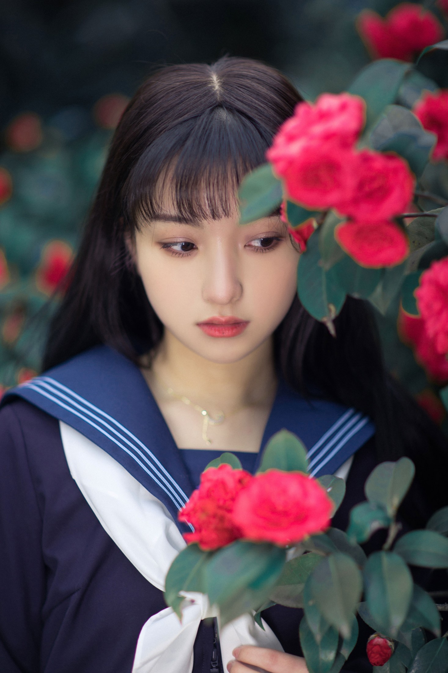 猪系少女日 – 《山茶》[18P]