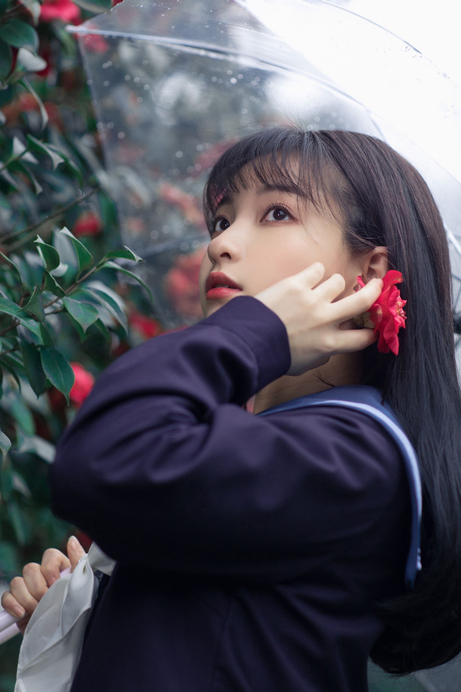 猪系少女日 – 《山茶》[18P]