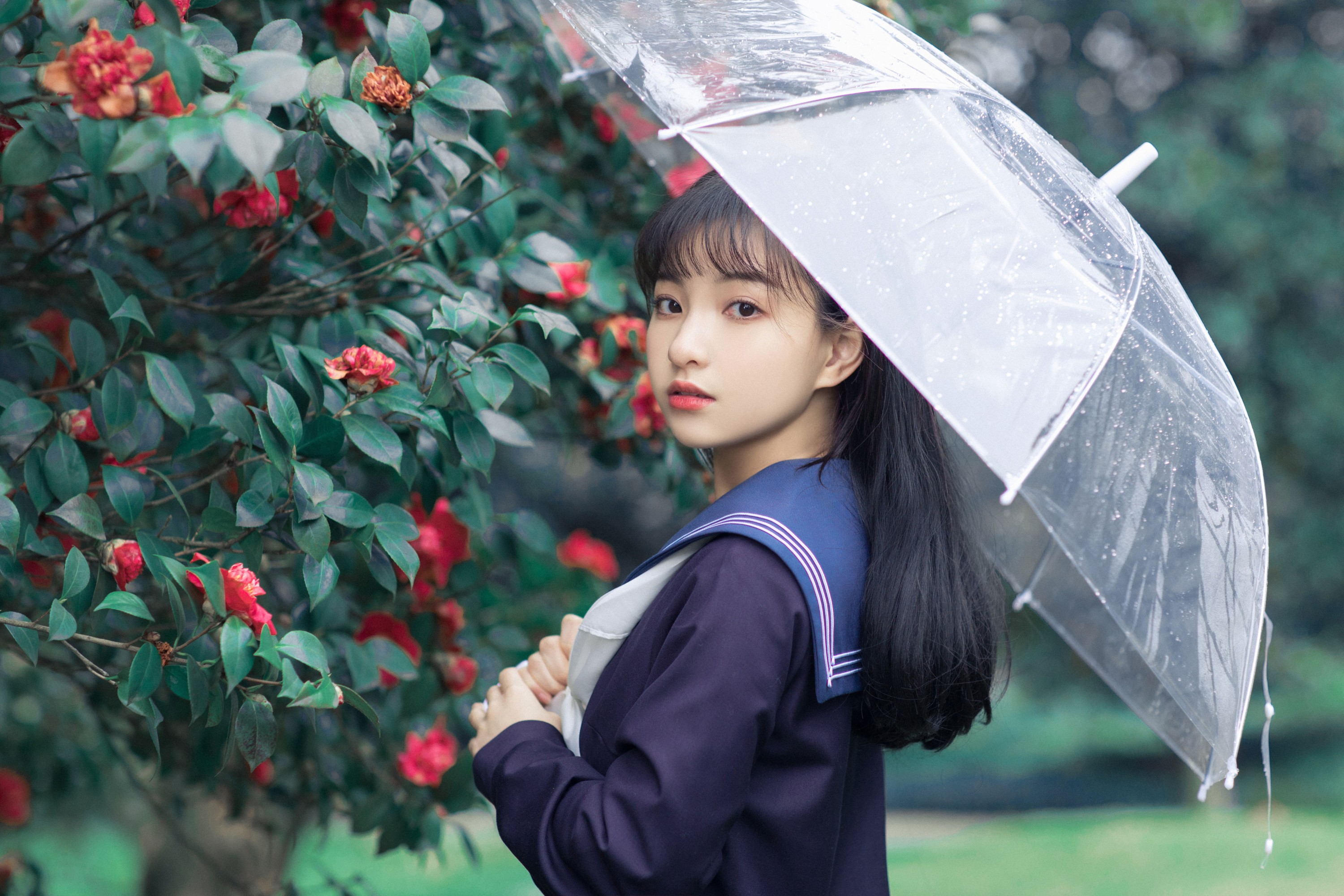 猪系少女日 – 《山茶》[18P]