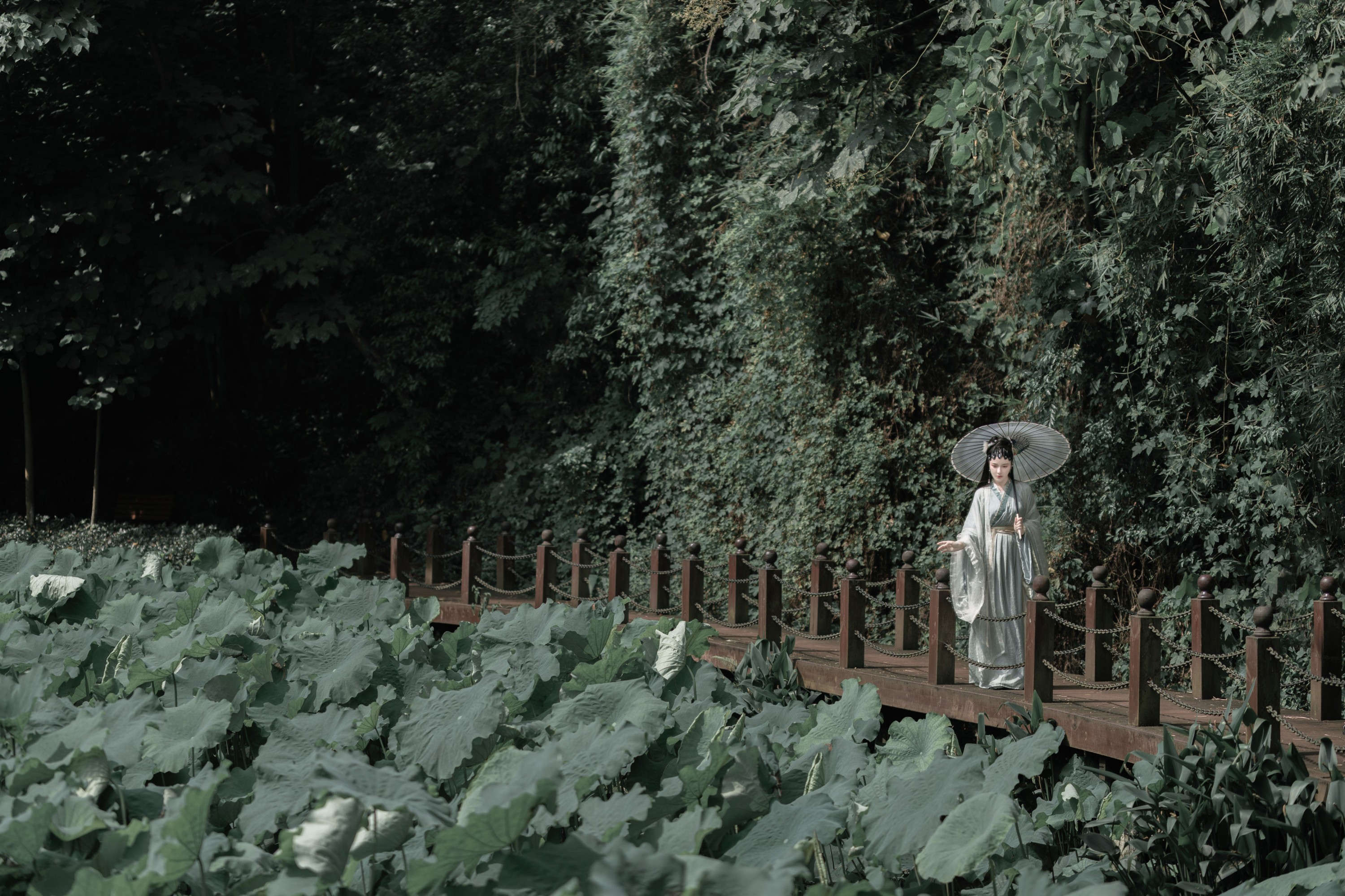 小昭 – 《碧波·黛玉》[22P]