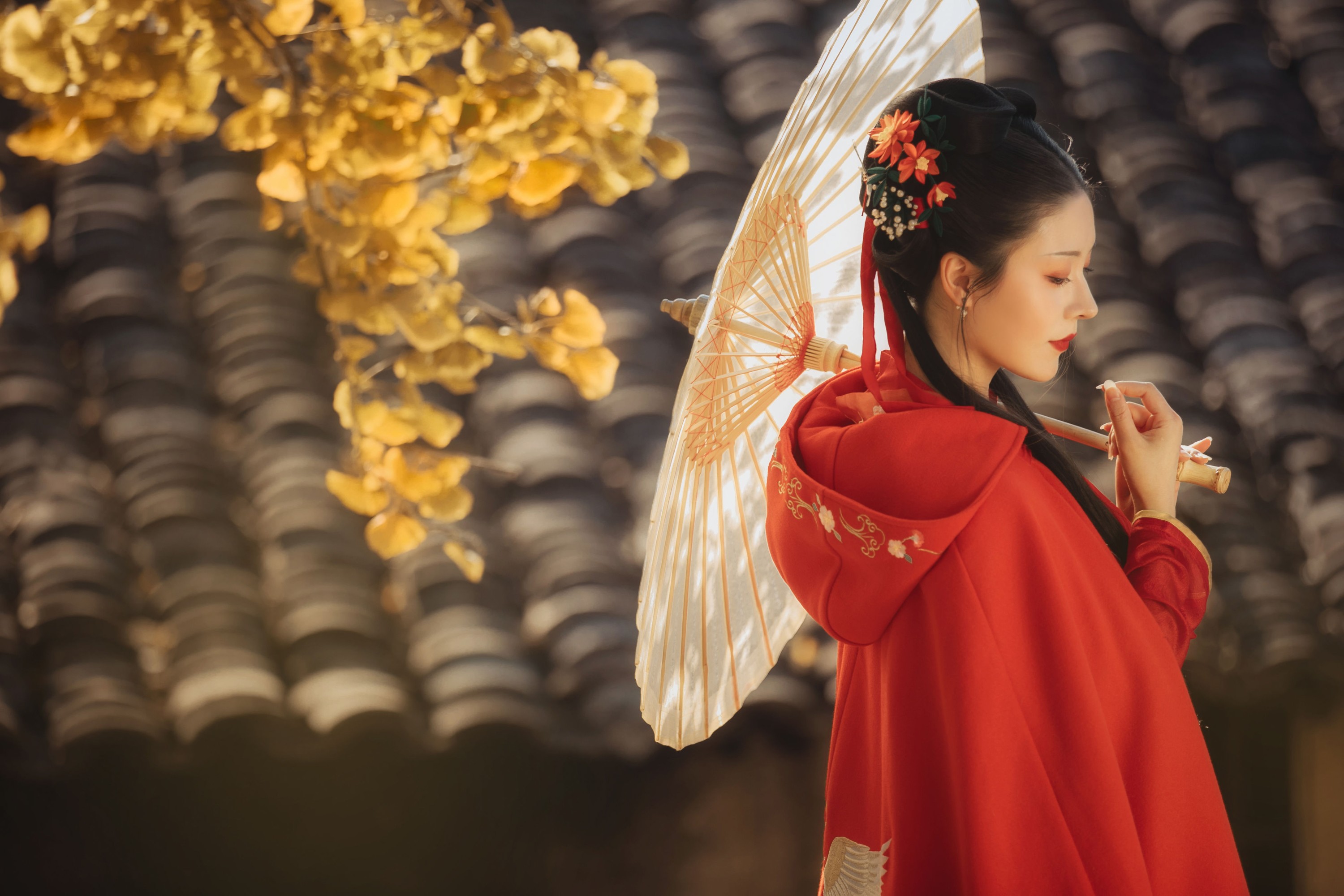 葵花花花儿 – 《长相思》[23P]