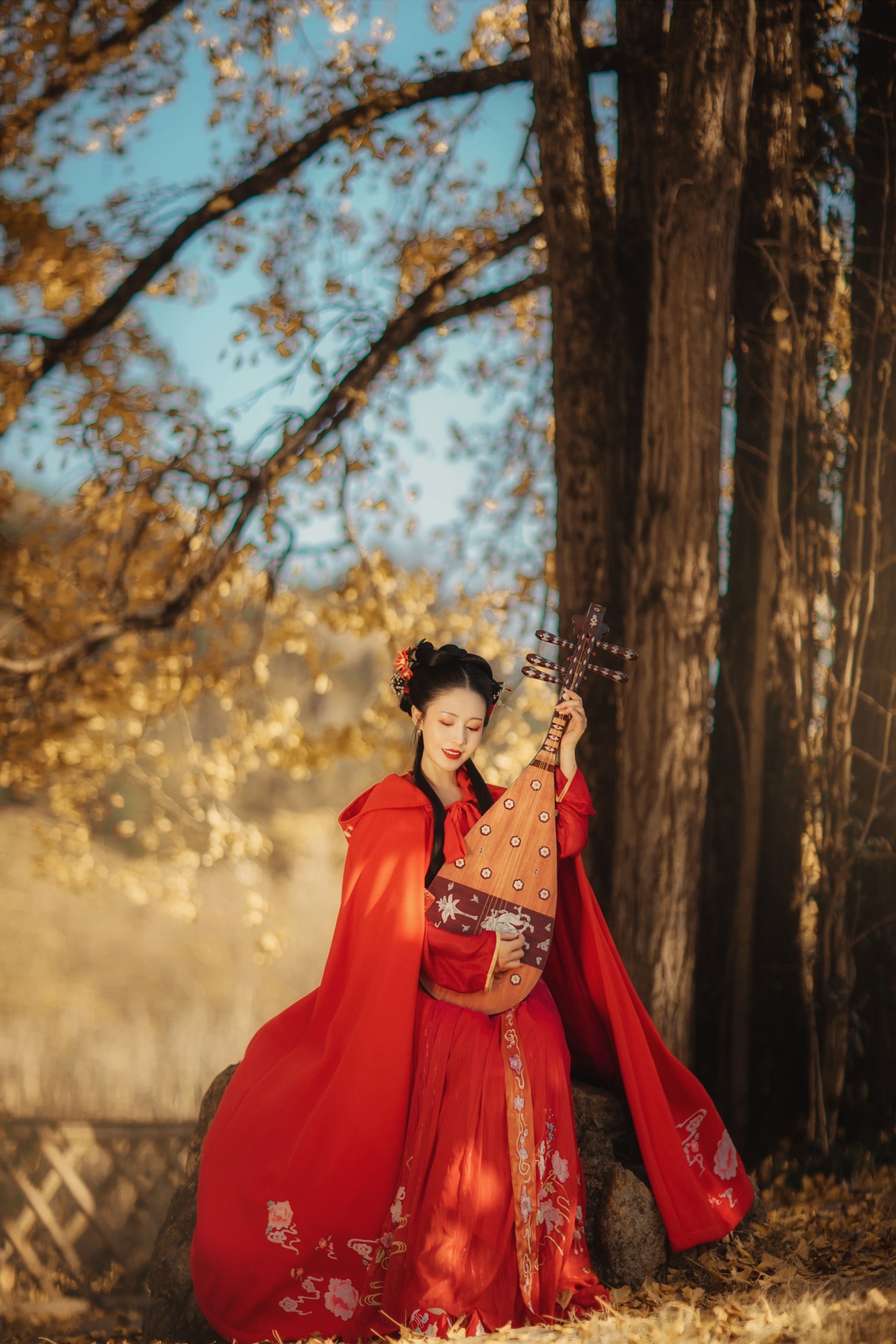 葵花花花儿 – 《长相思》[23P]