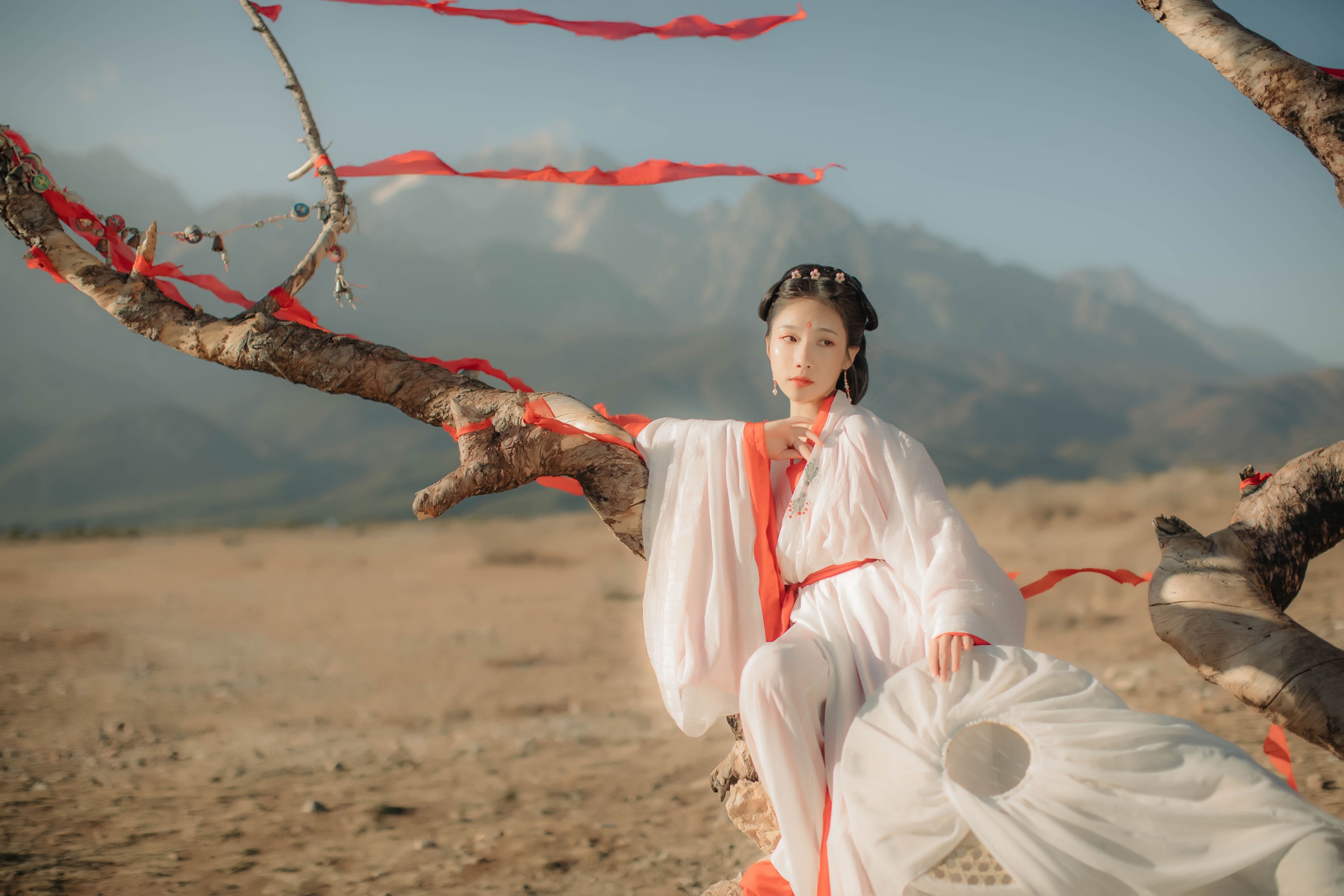 流韶 – 《红妆》[20P]