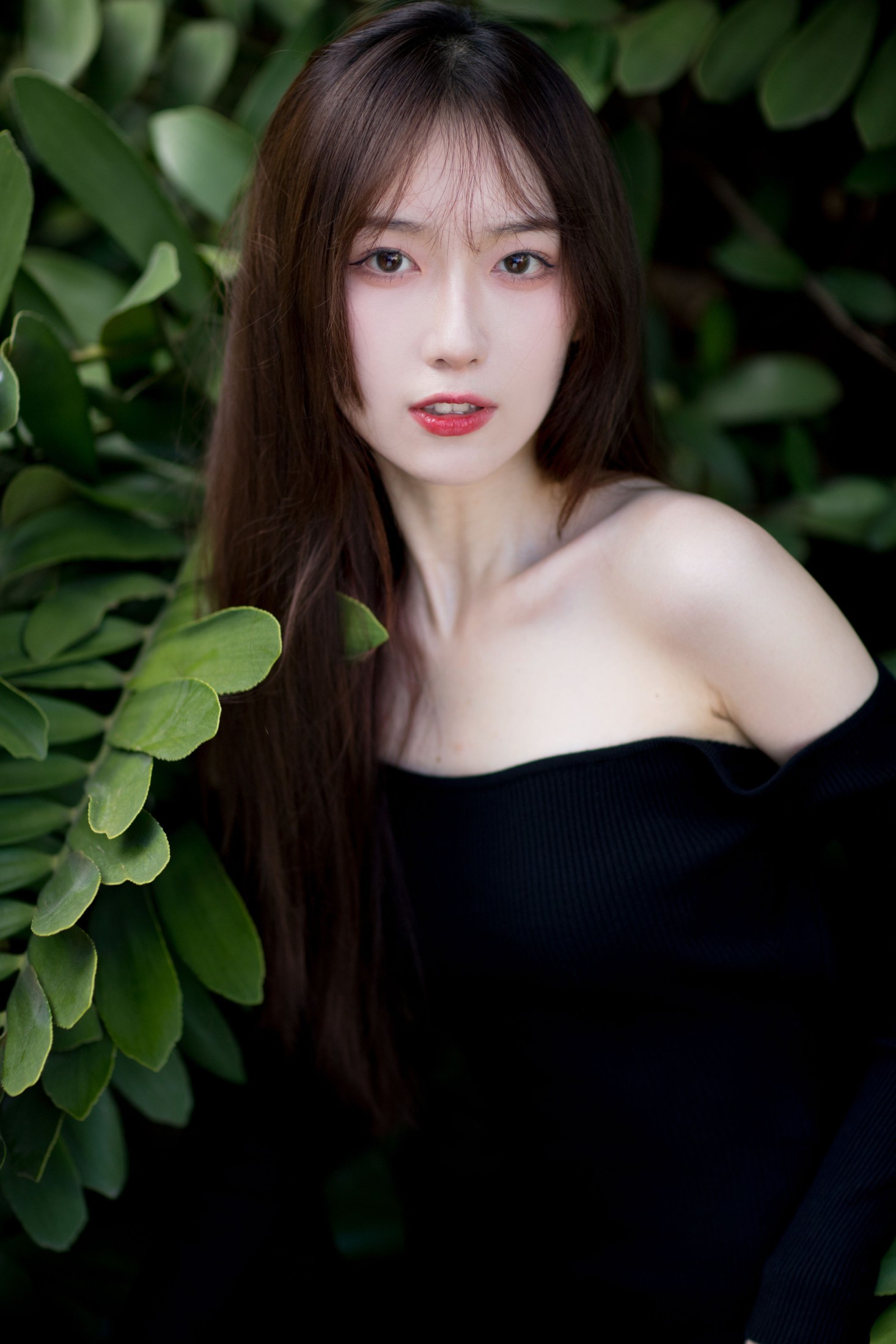 KK – 《白月光》[24P]