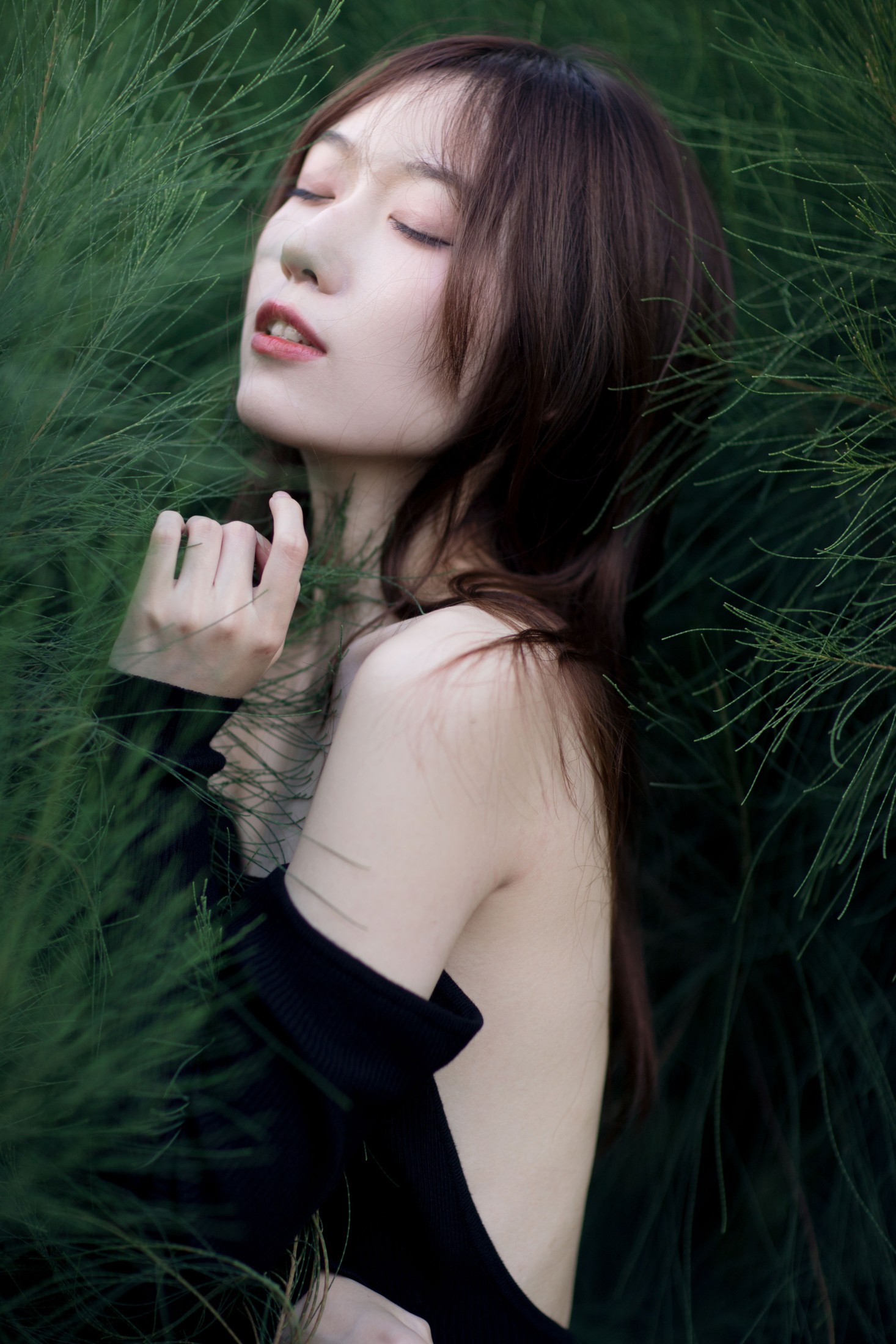 KK – 《白月光》[24P]