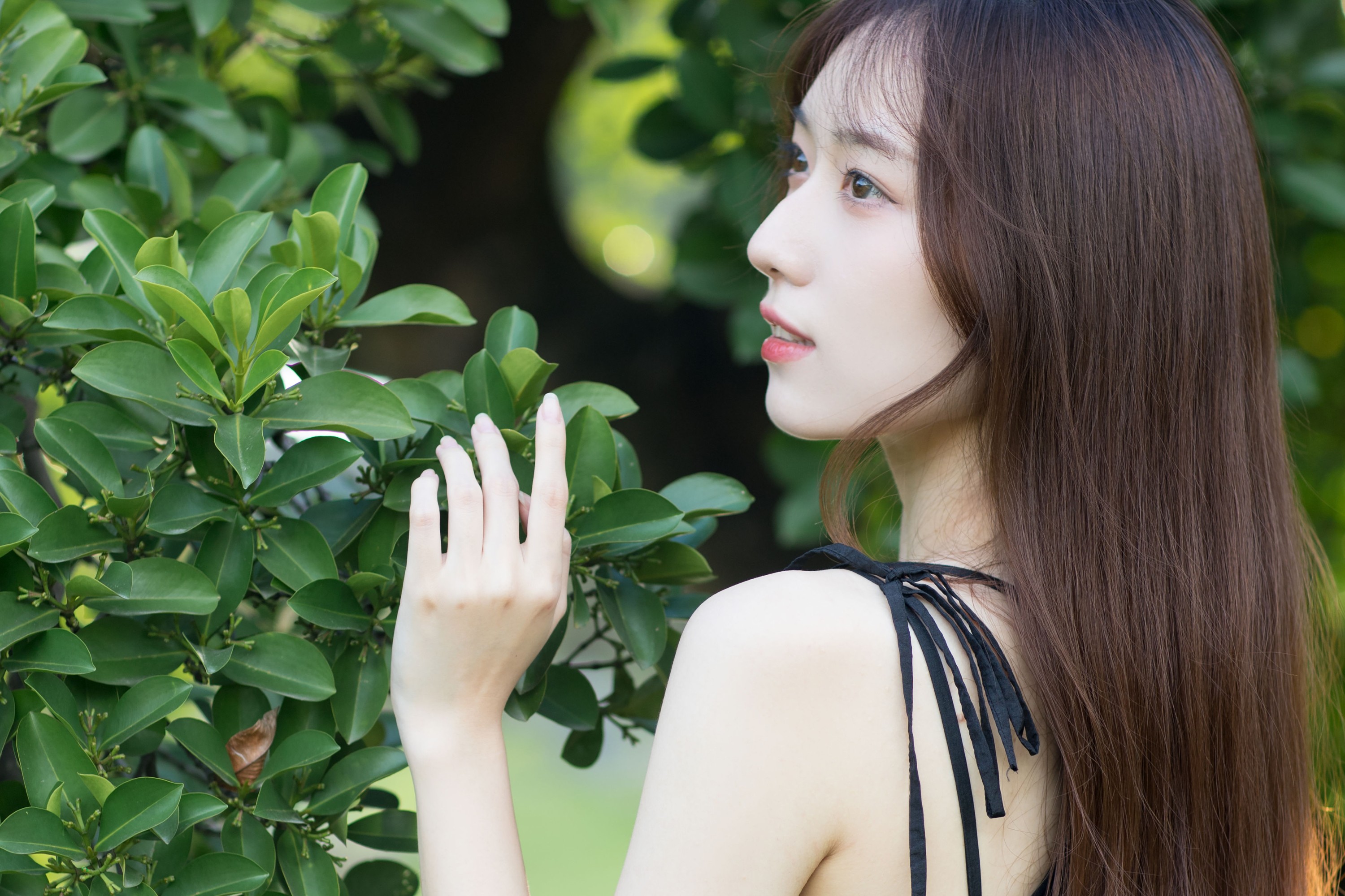 KK – 《微风起，心已动》[25P]