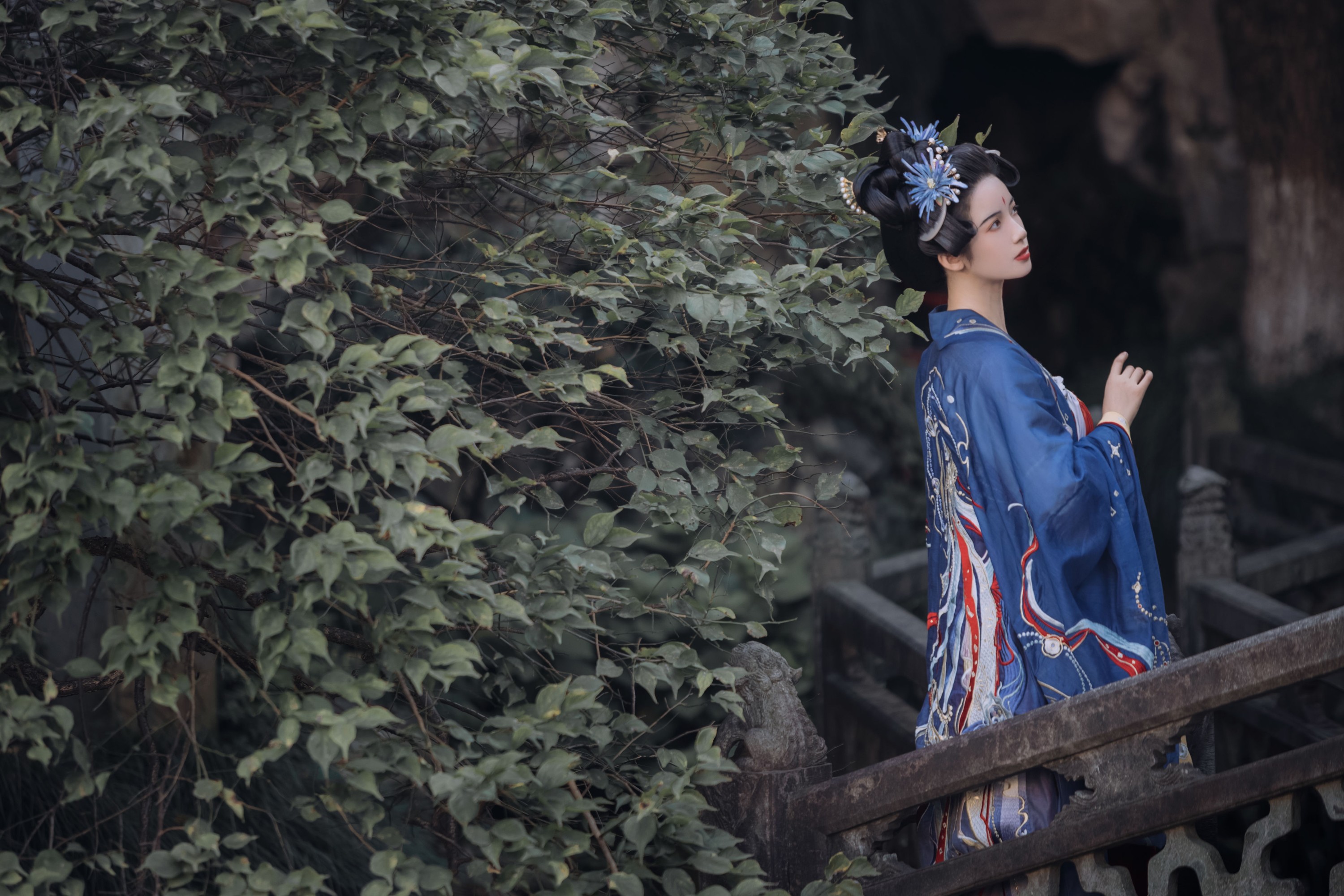 一只阿梦崽 – 《君何处》[32P]