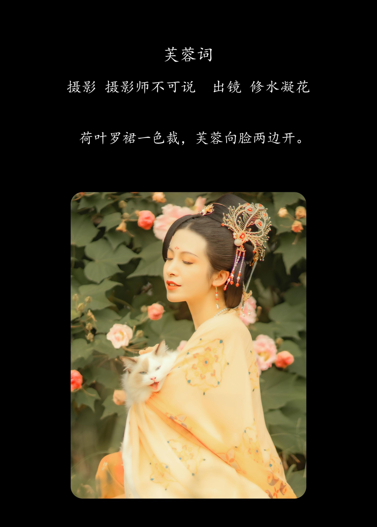 修水凝花 – 《芙蓉词》[38P]