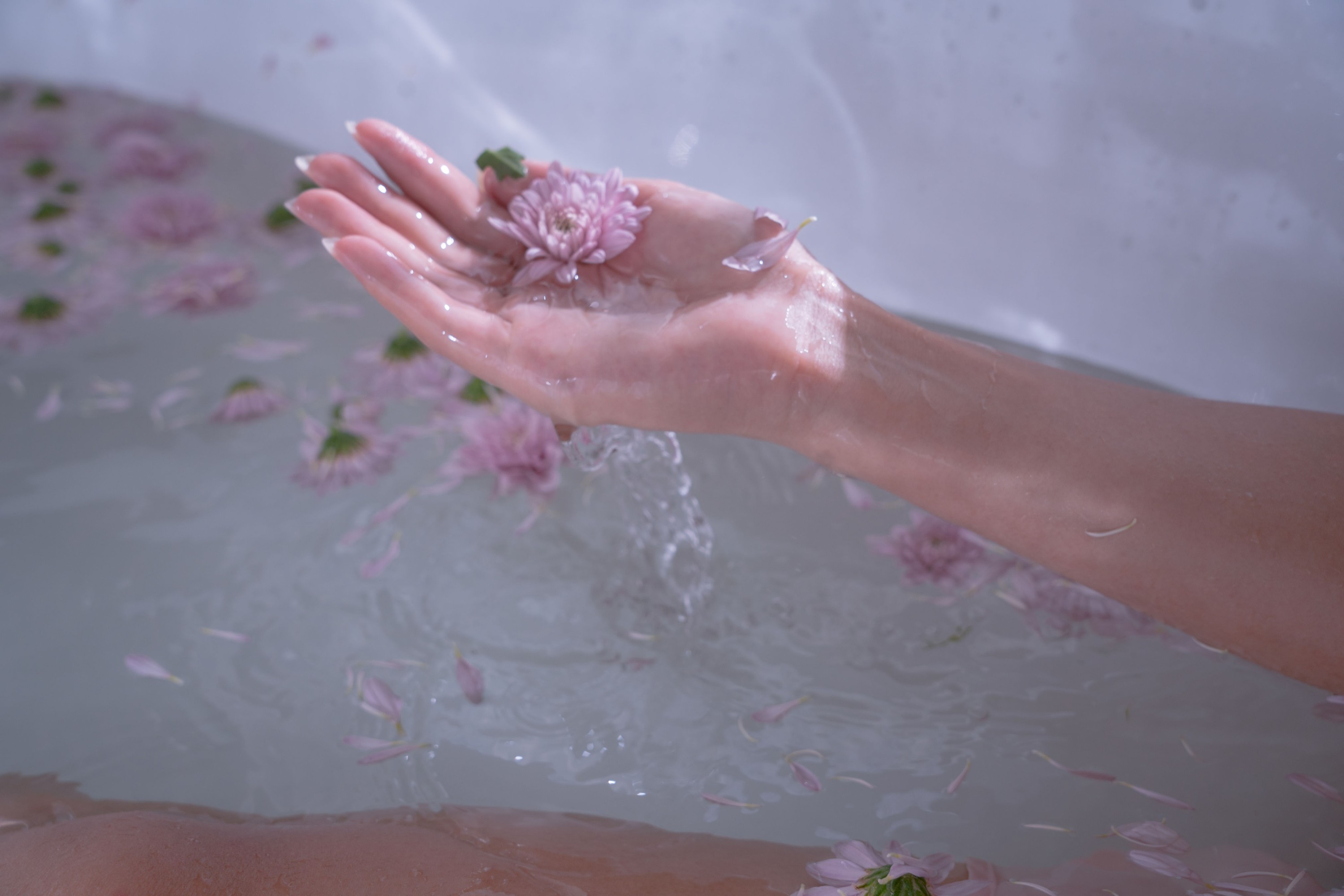 落痣_ – 《少女梦》[33P]