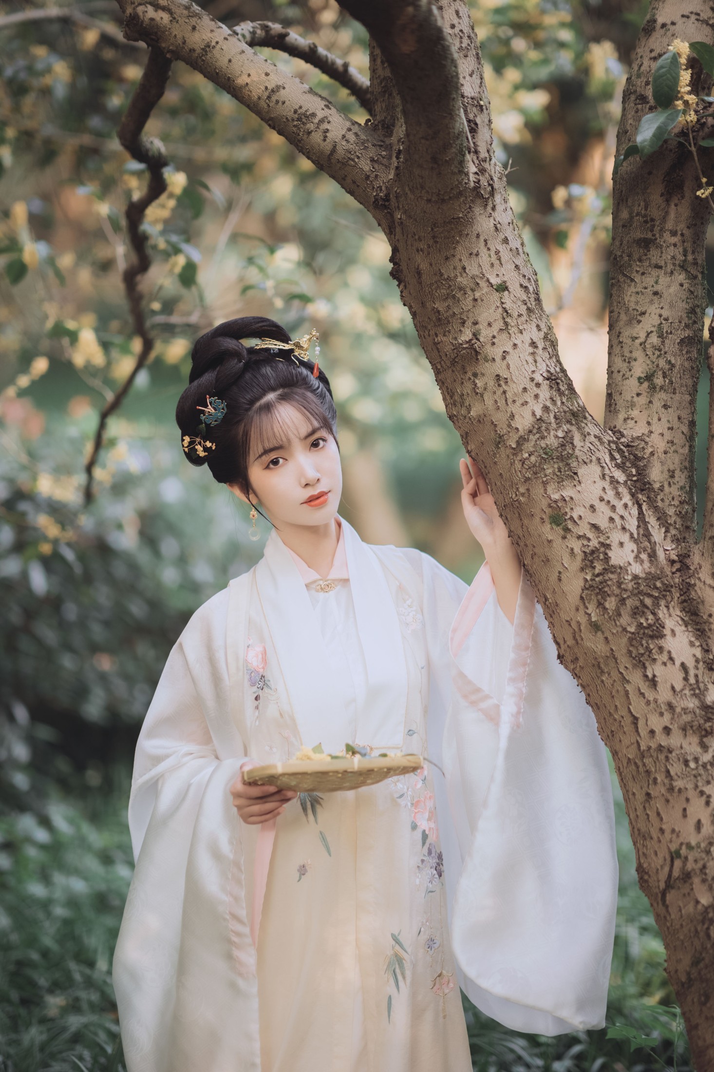 一只阿梦崽 – 《桂花酿》[36P]