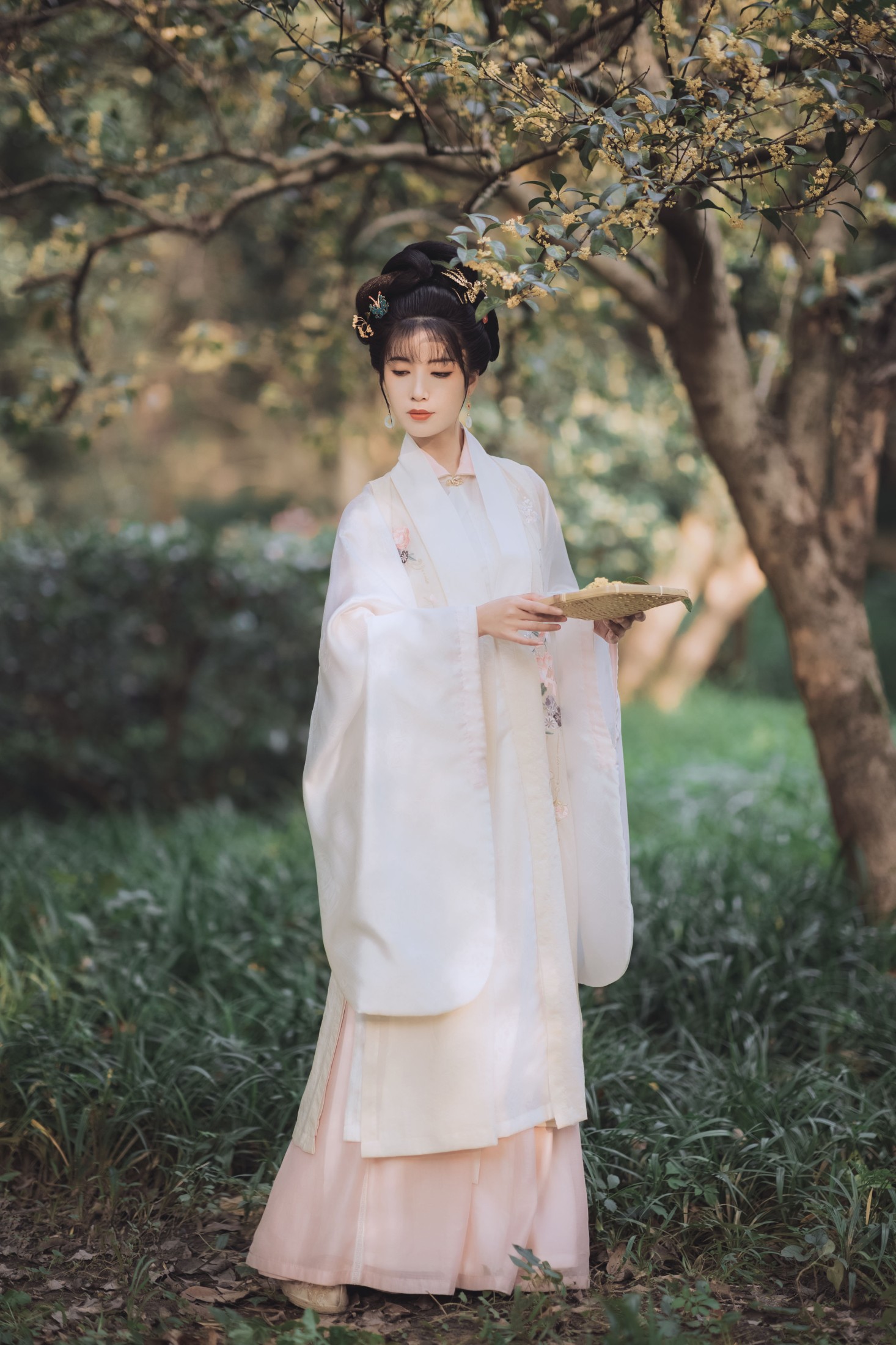 一只阿梦崽 – 《桂花酿》[36P]