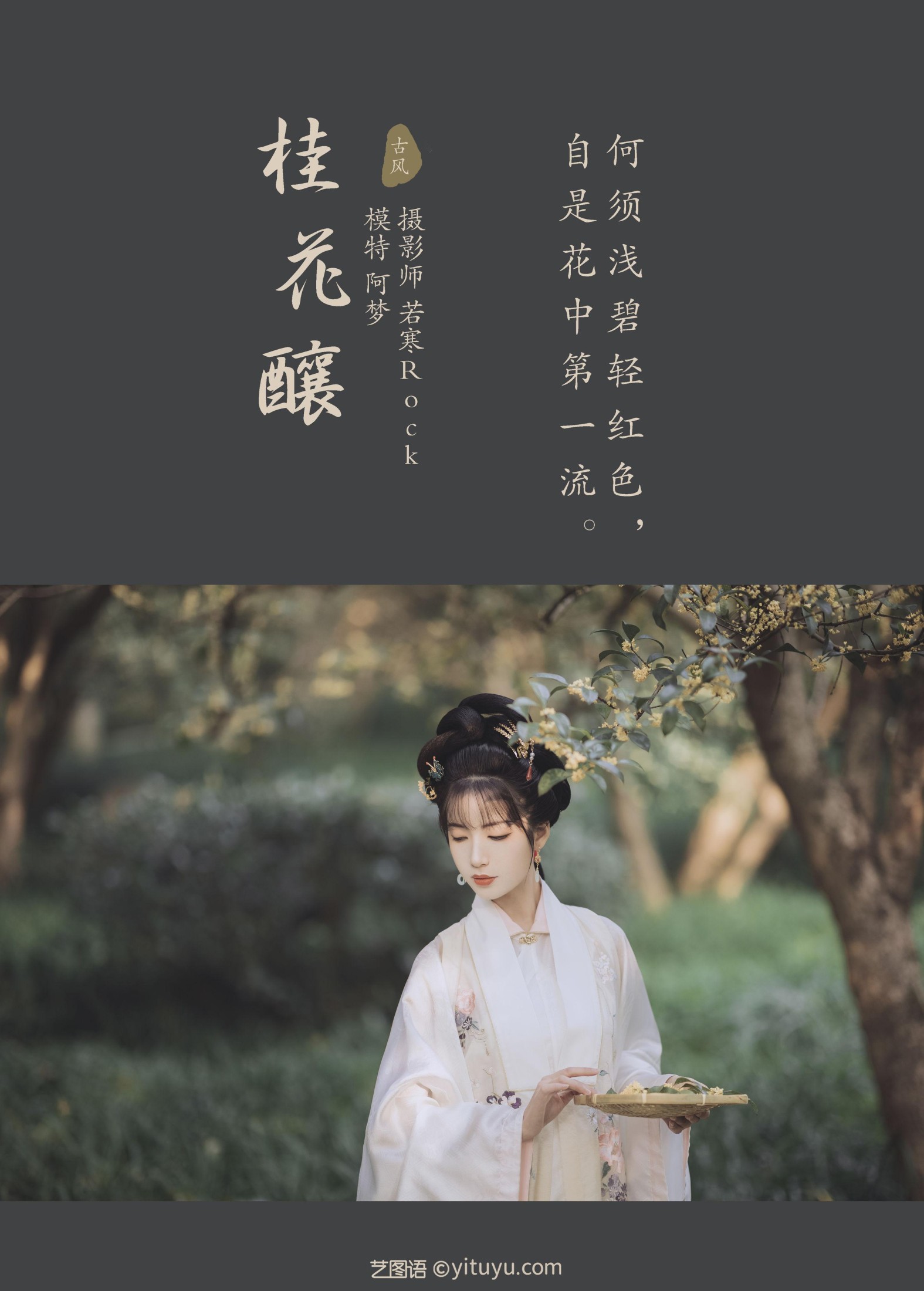 一只阿梦崽 – 《桂花酿》[36P]