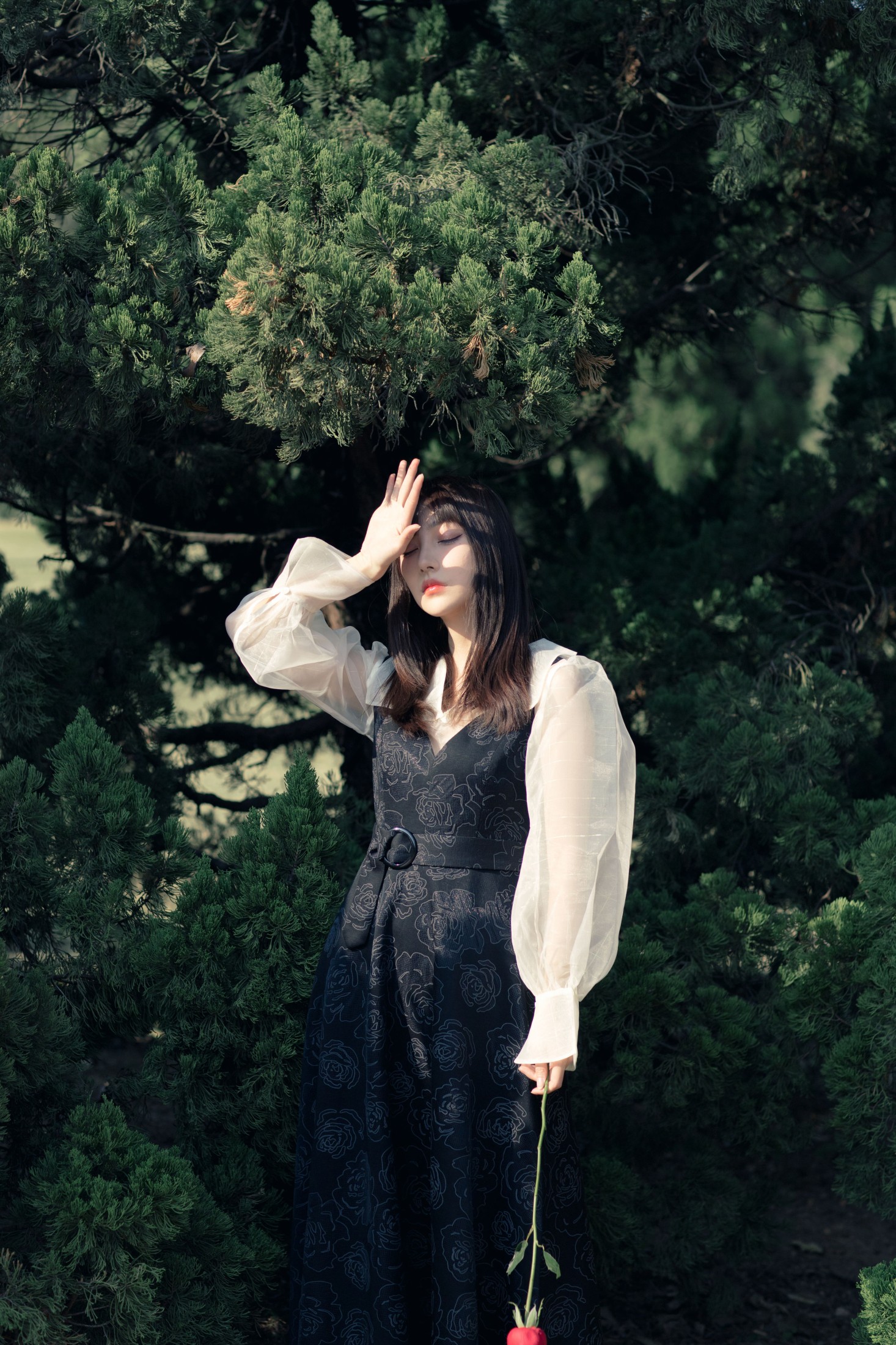 星星 – 《黑玫瑰》[35P]