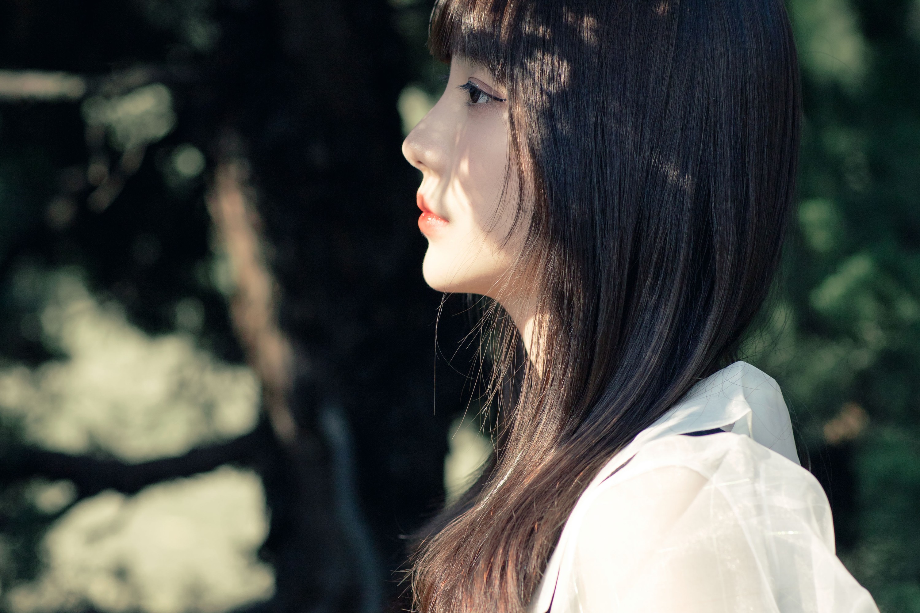 星星 – 《黑玫瑰》[35P]