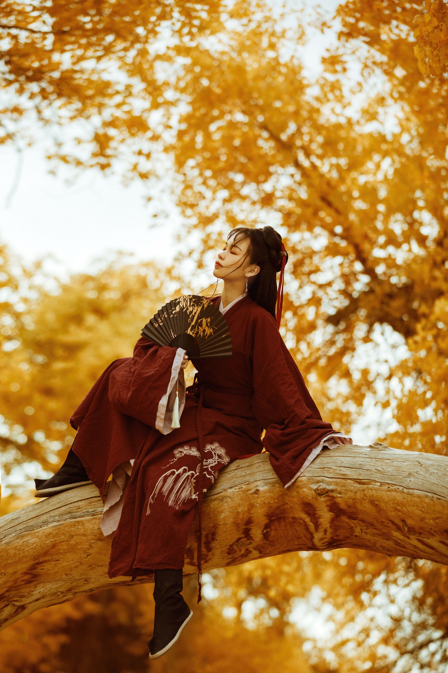 薄菏 – 《花木兰》[38P]