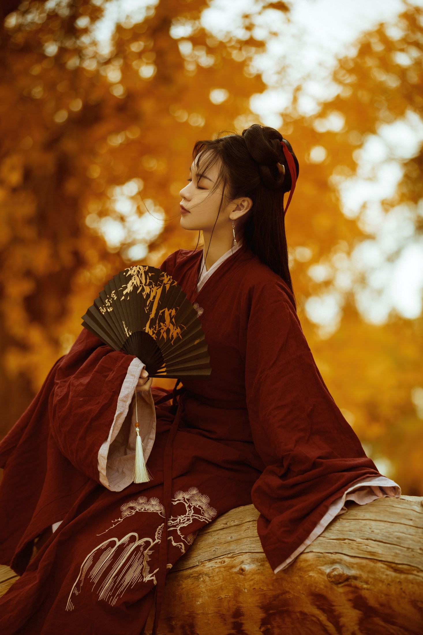 薄菏 – 《花木兰》[38P]