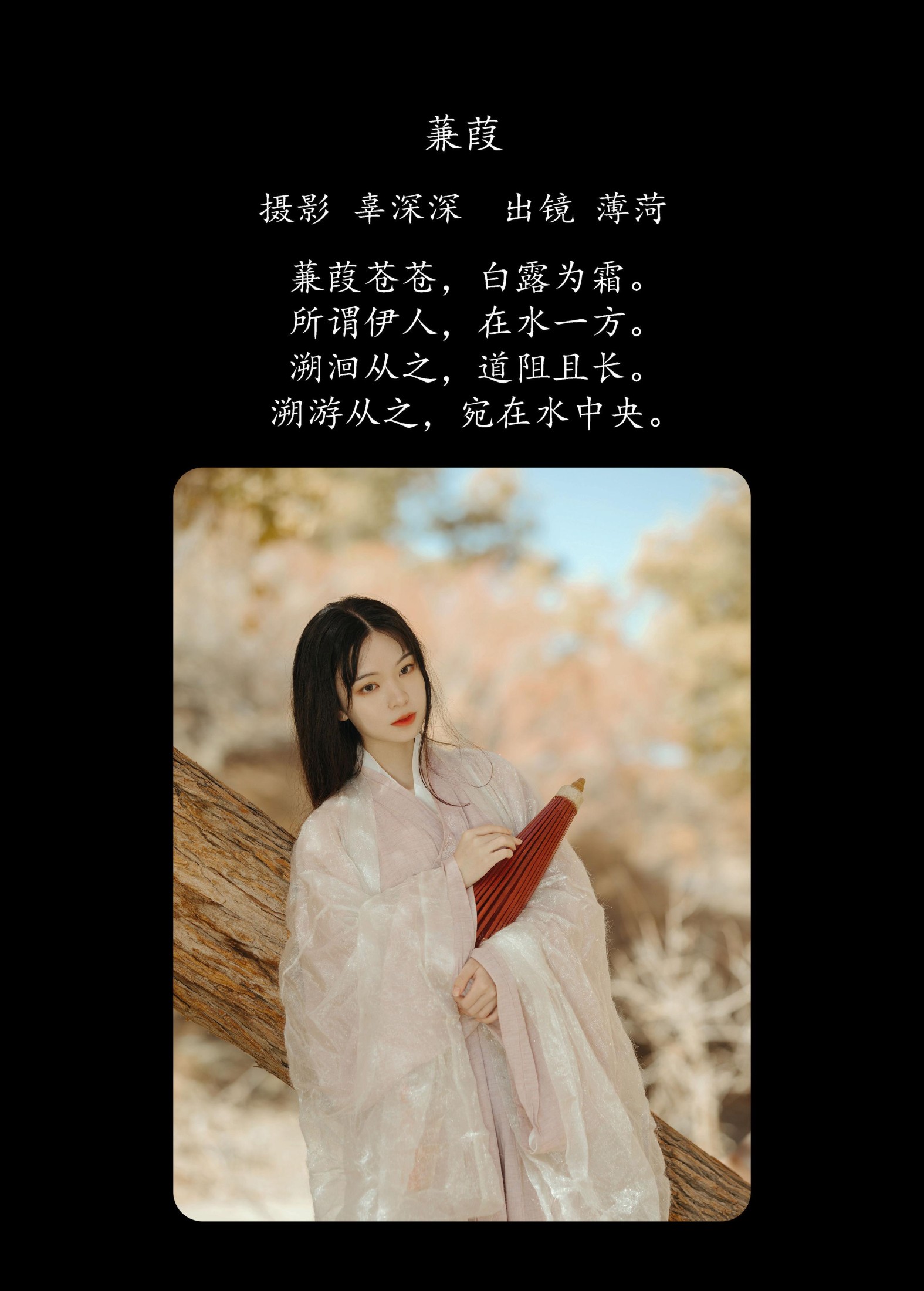 薄菏 – 《蒹葭》[26P]