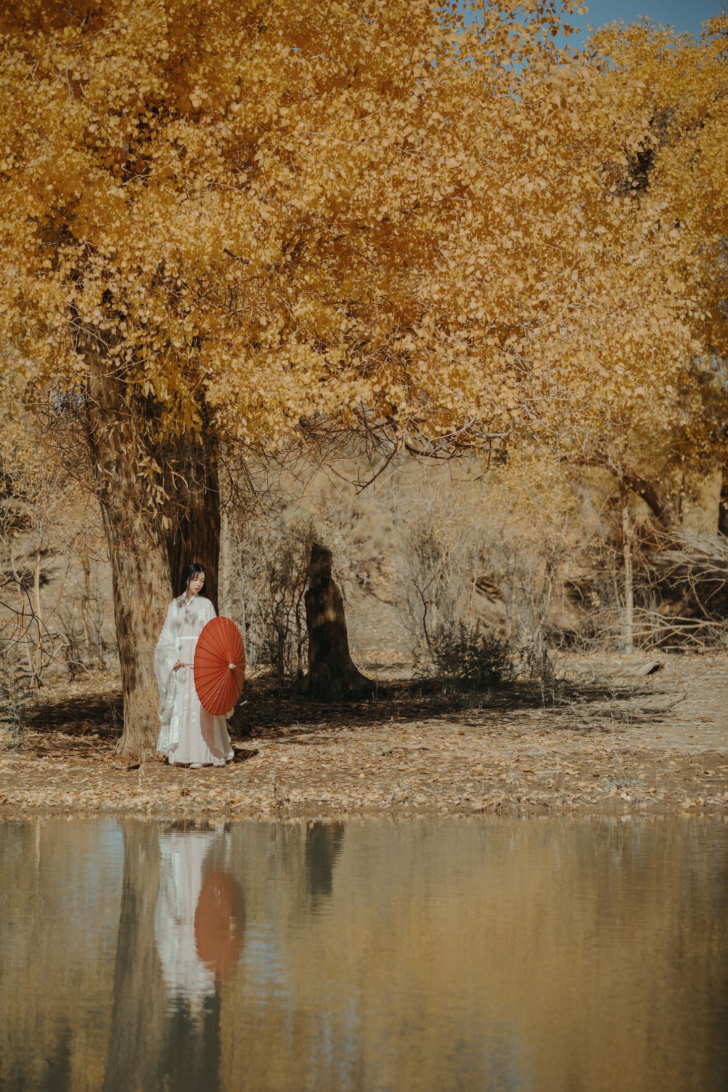 薄菏 – 《蒹葭》[26P]