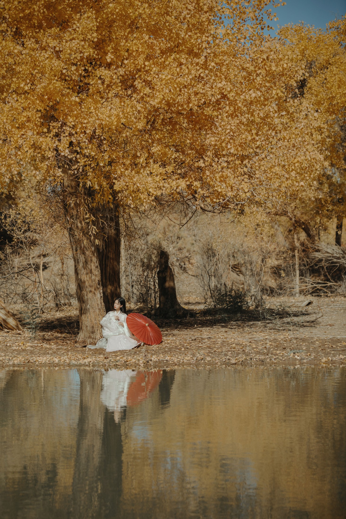 薄菏 – 《蒹葭》[26P]