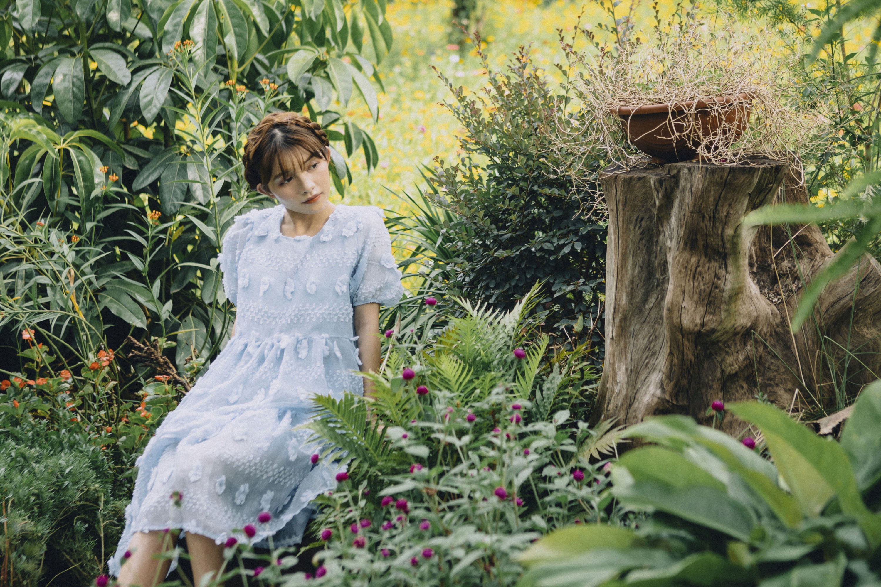 生长于斯 – 《花都开好了》[28P]