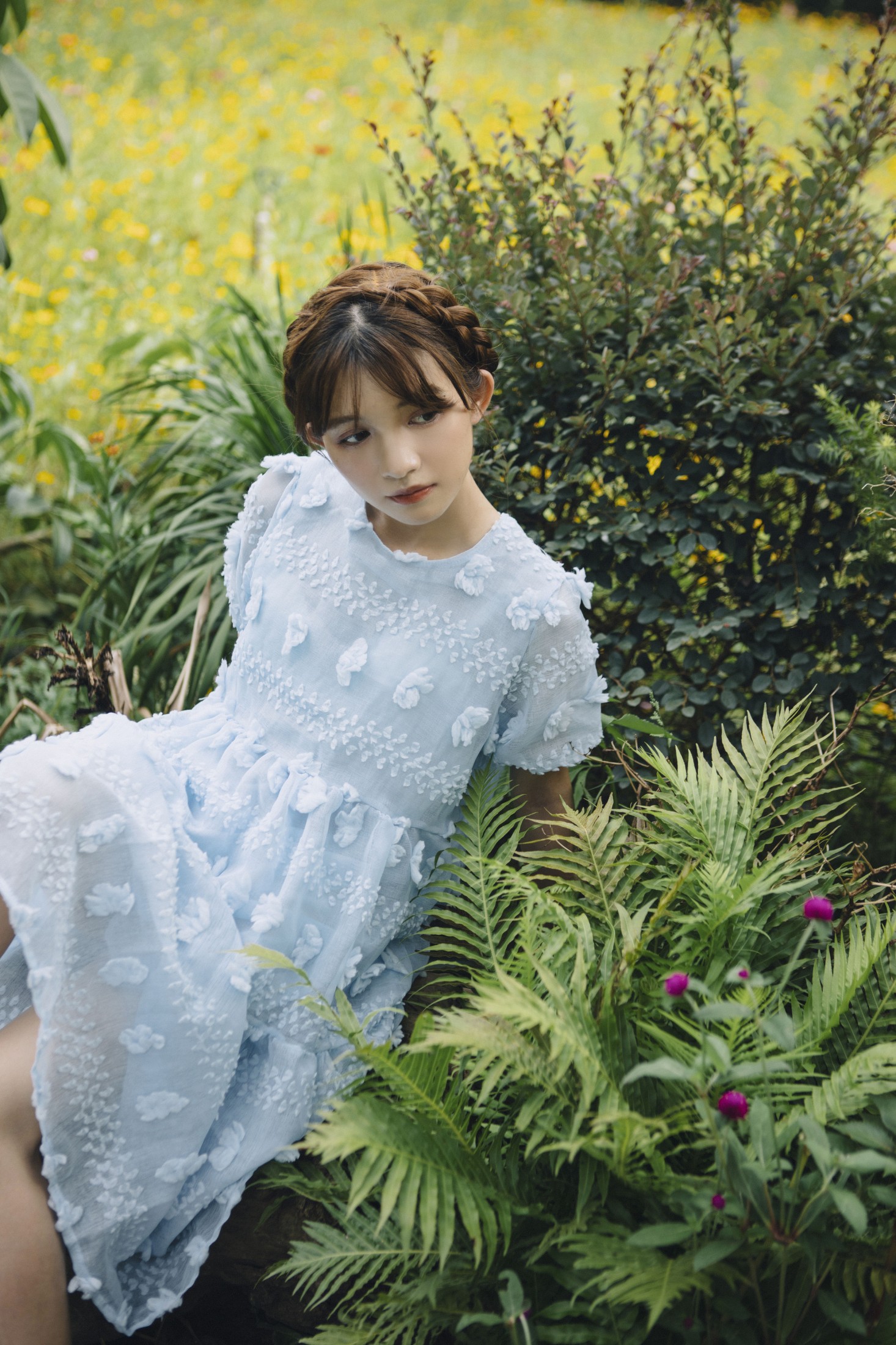 生长于斯 – 《花都开好了》[28P]