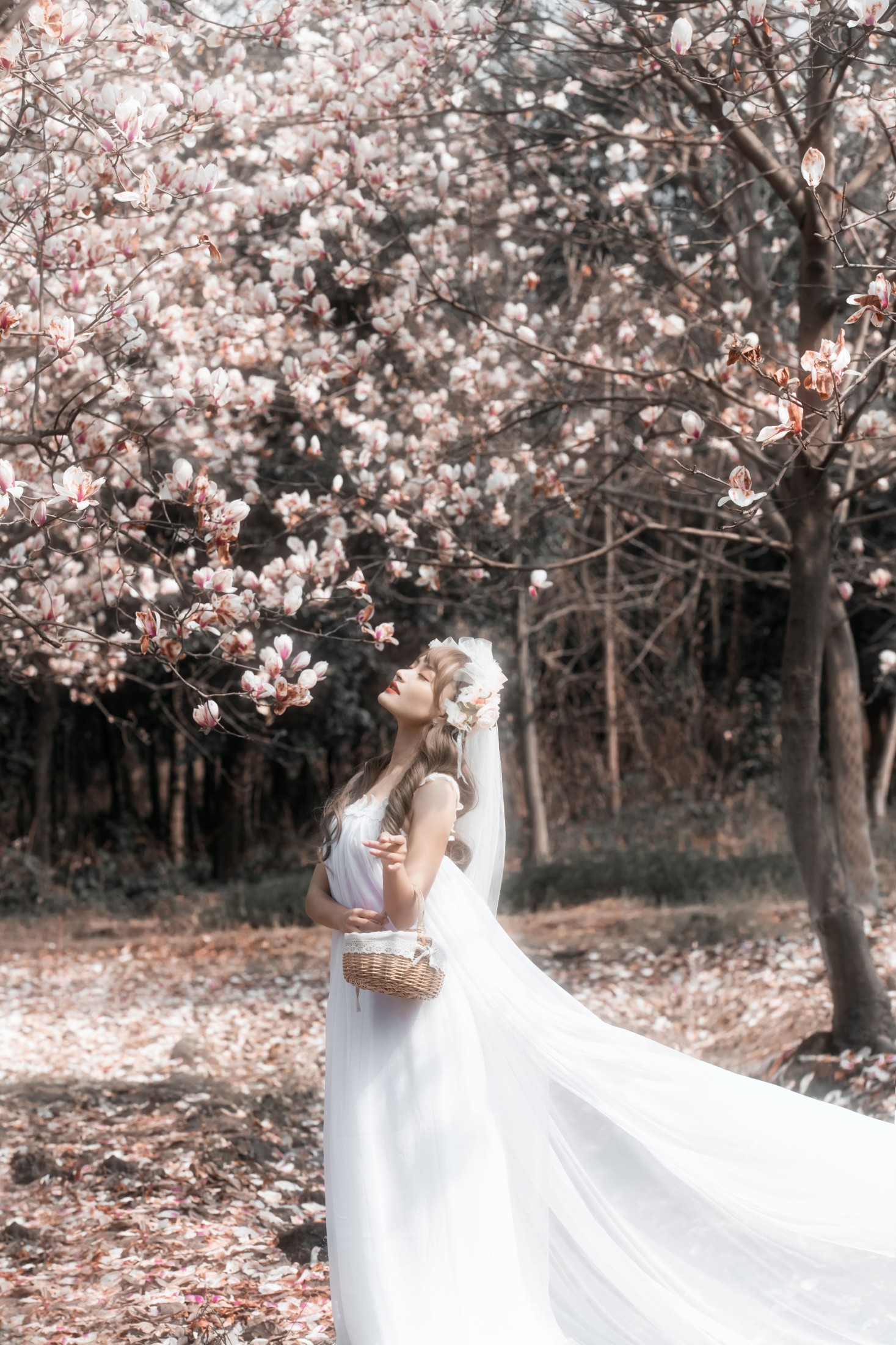 走路带风 – 《白玉兰》[25P]