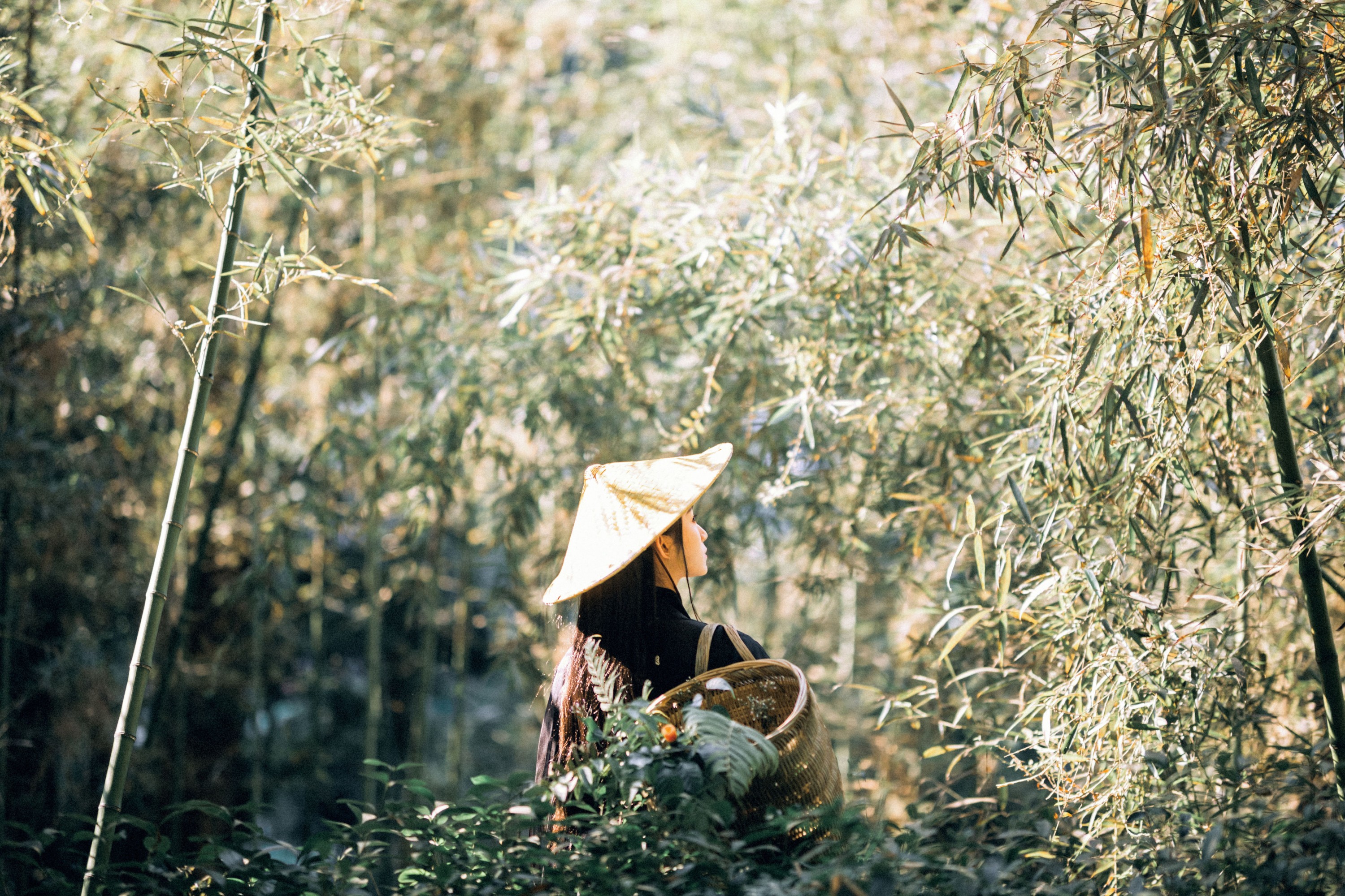 七屿呀_ – 《采药》[30P]