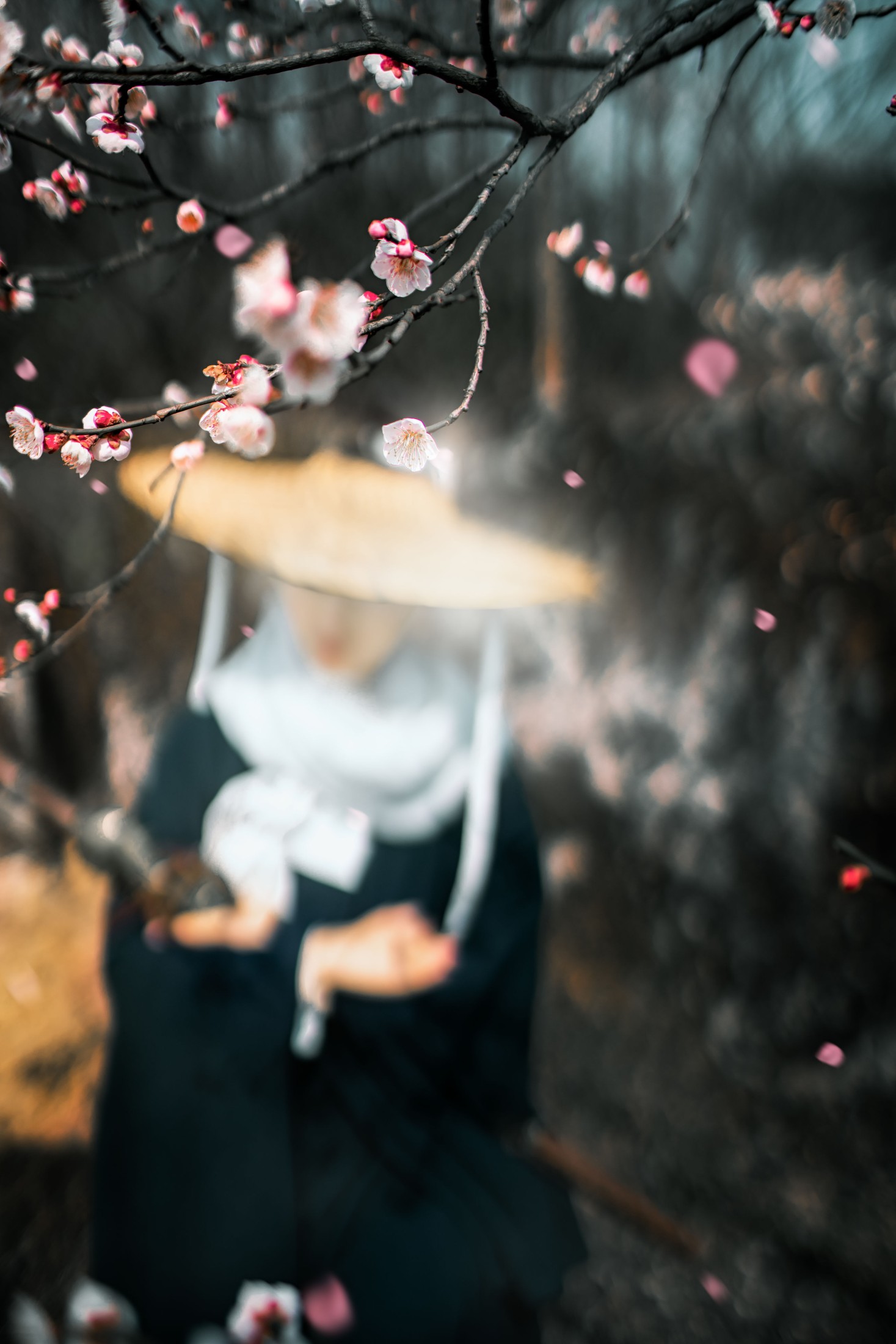 初茶 – 《少年歌》[39P]