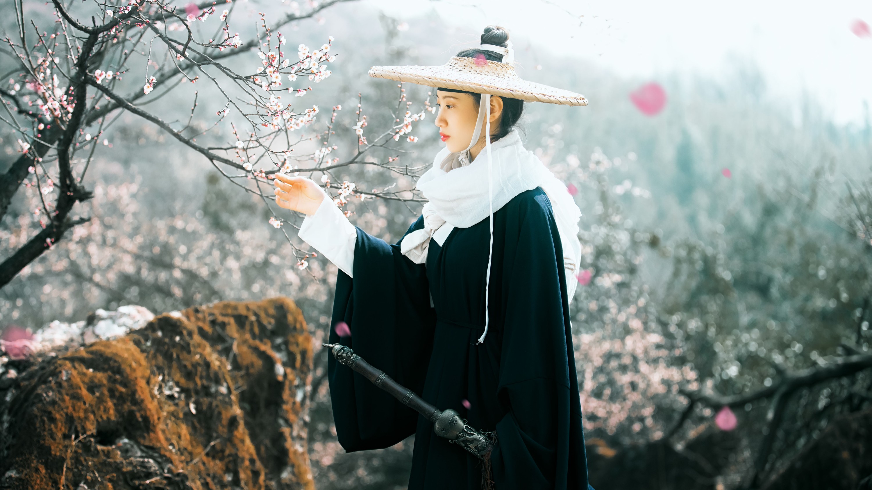 初茶 – 《少年歌》[39P]