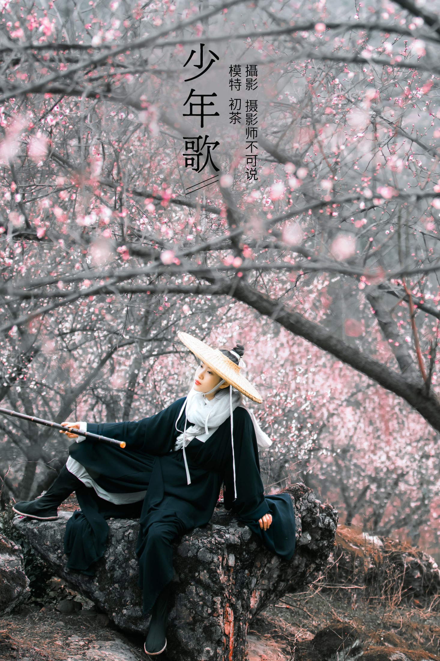 初茶 – 《少年歌》[39P]