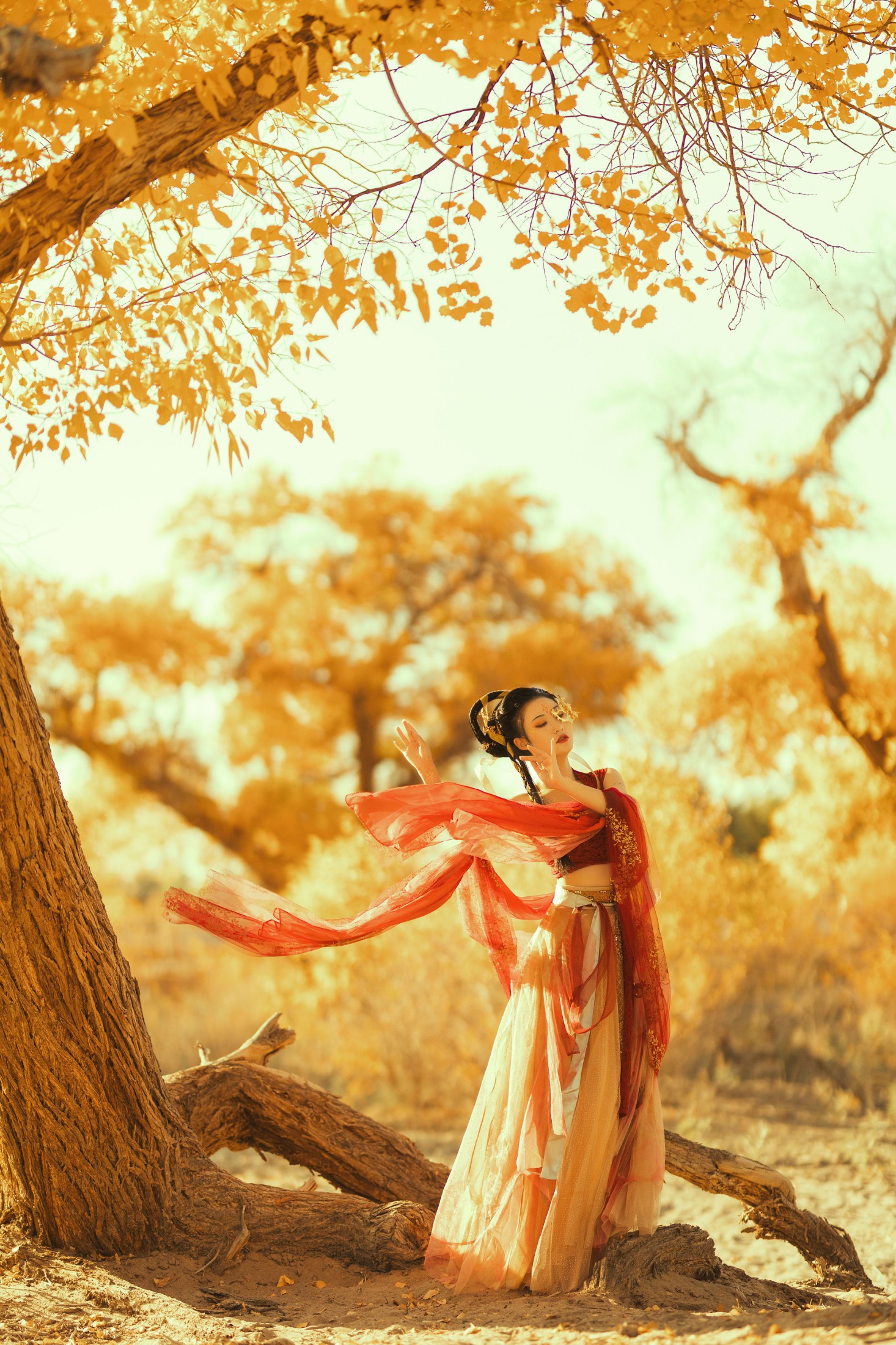 付兮子 – 《胡杨之女》[34P]