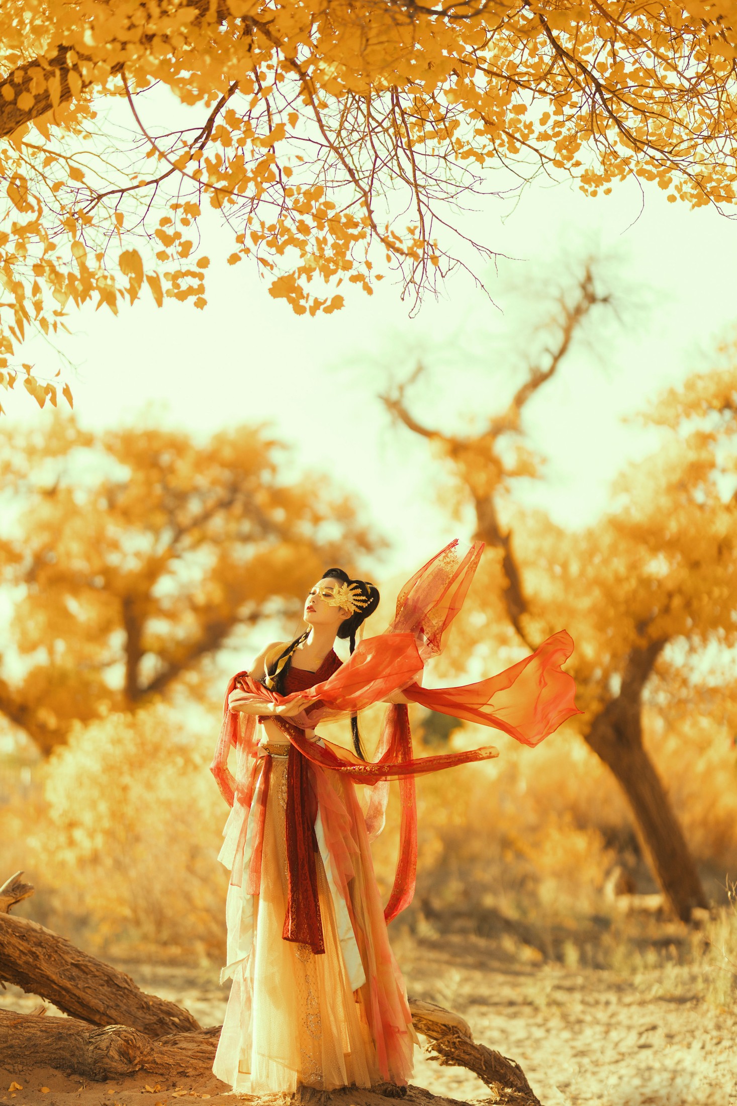 付兮子 – 《胡杨之女》[34P]