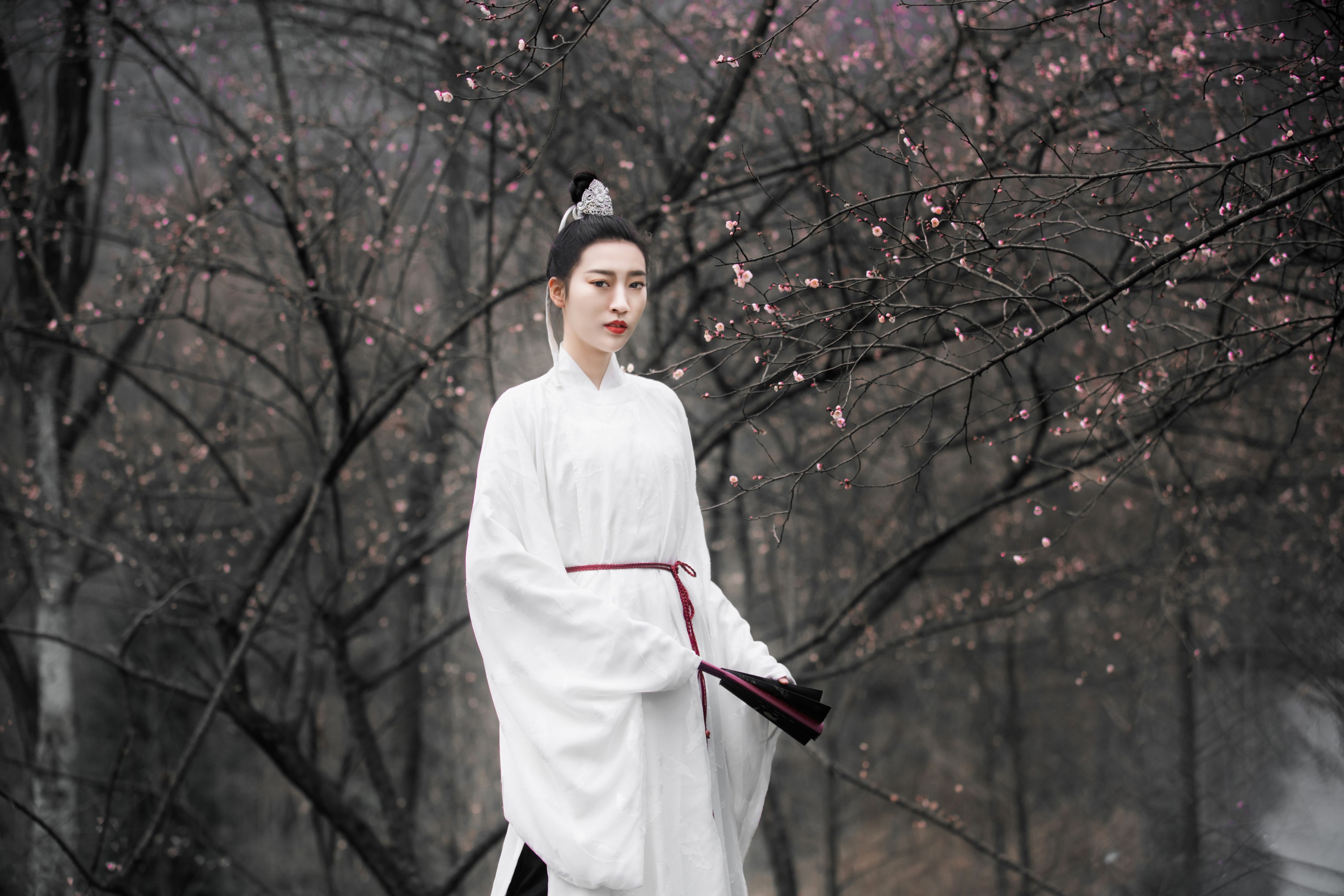 明月 – 《香如故》[36P]