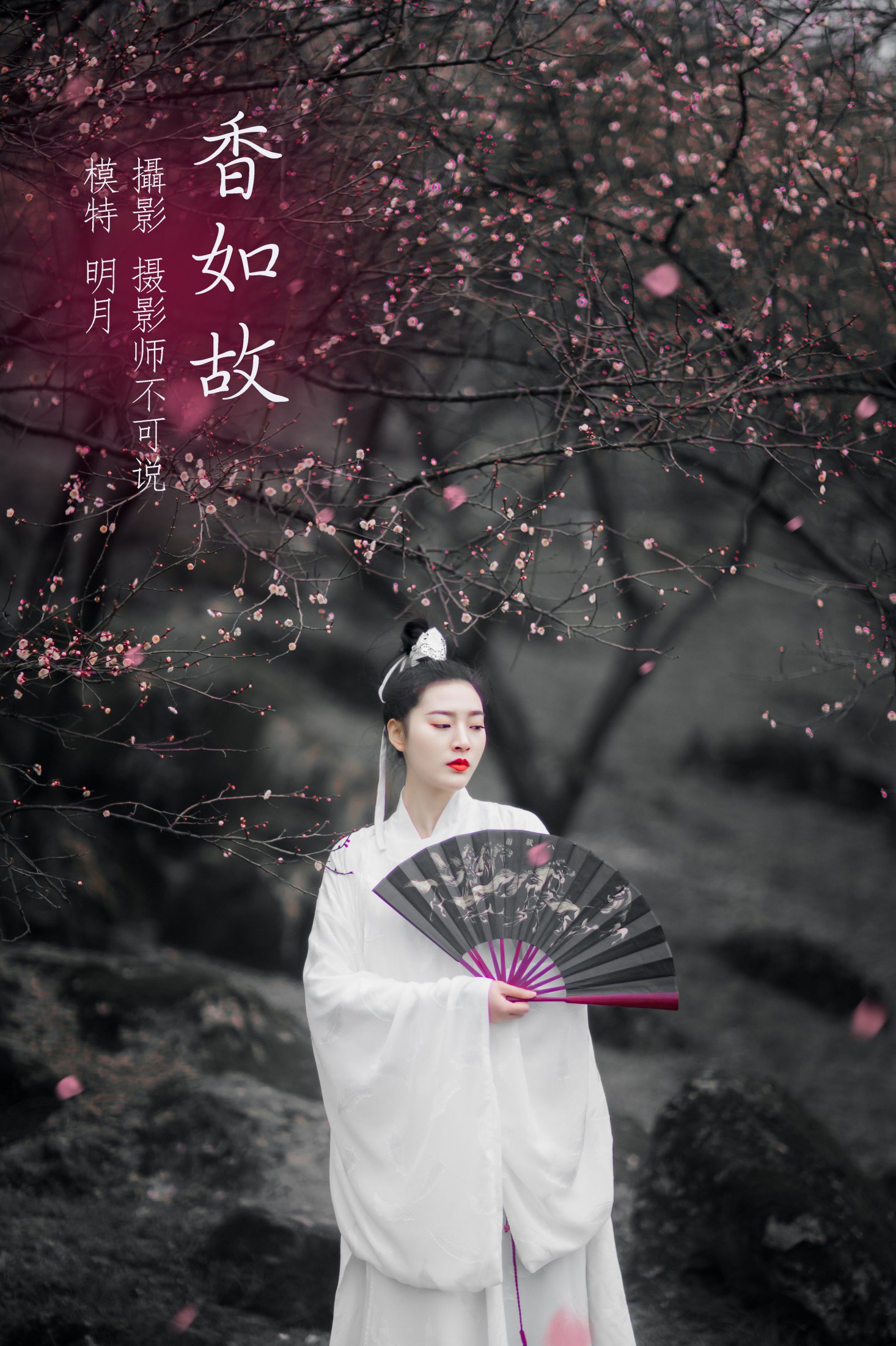 明月 – 《香如故》[36P]