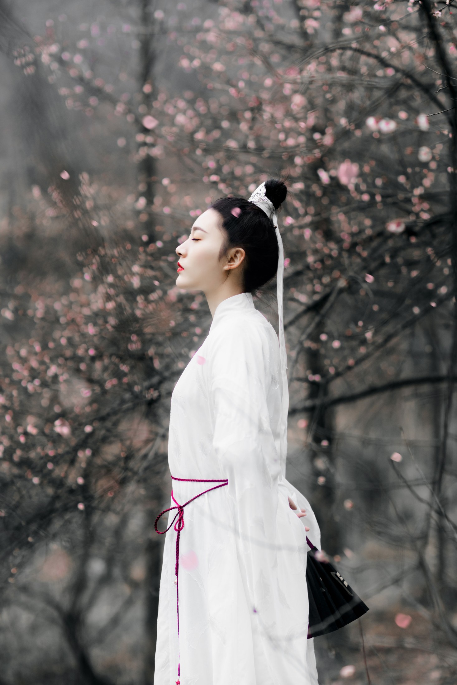 明月 – 《香如故》[36P]