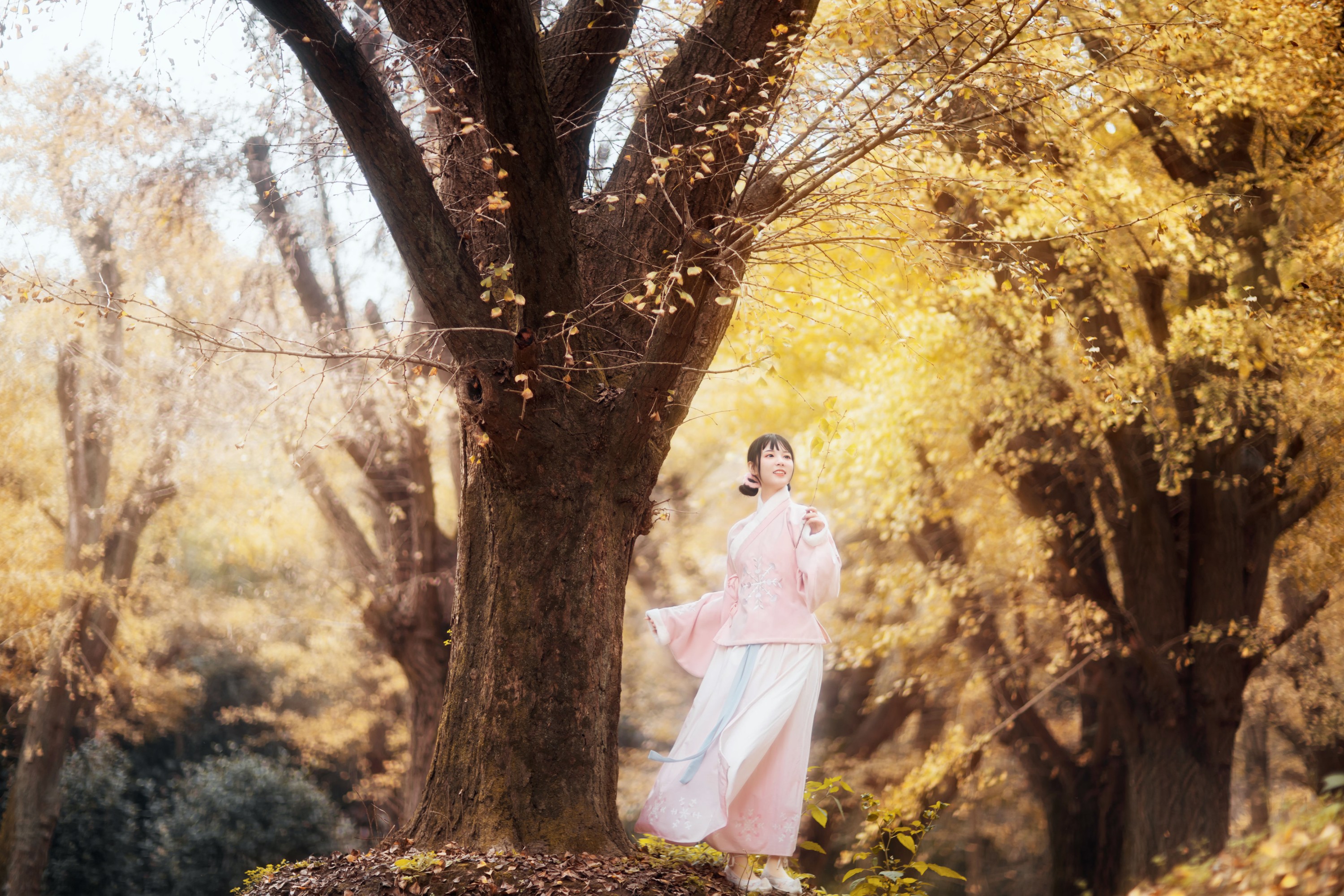 李太白 – 《杏仙歌》[32P]