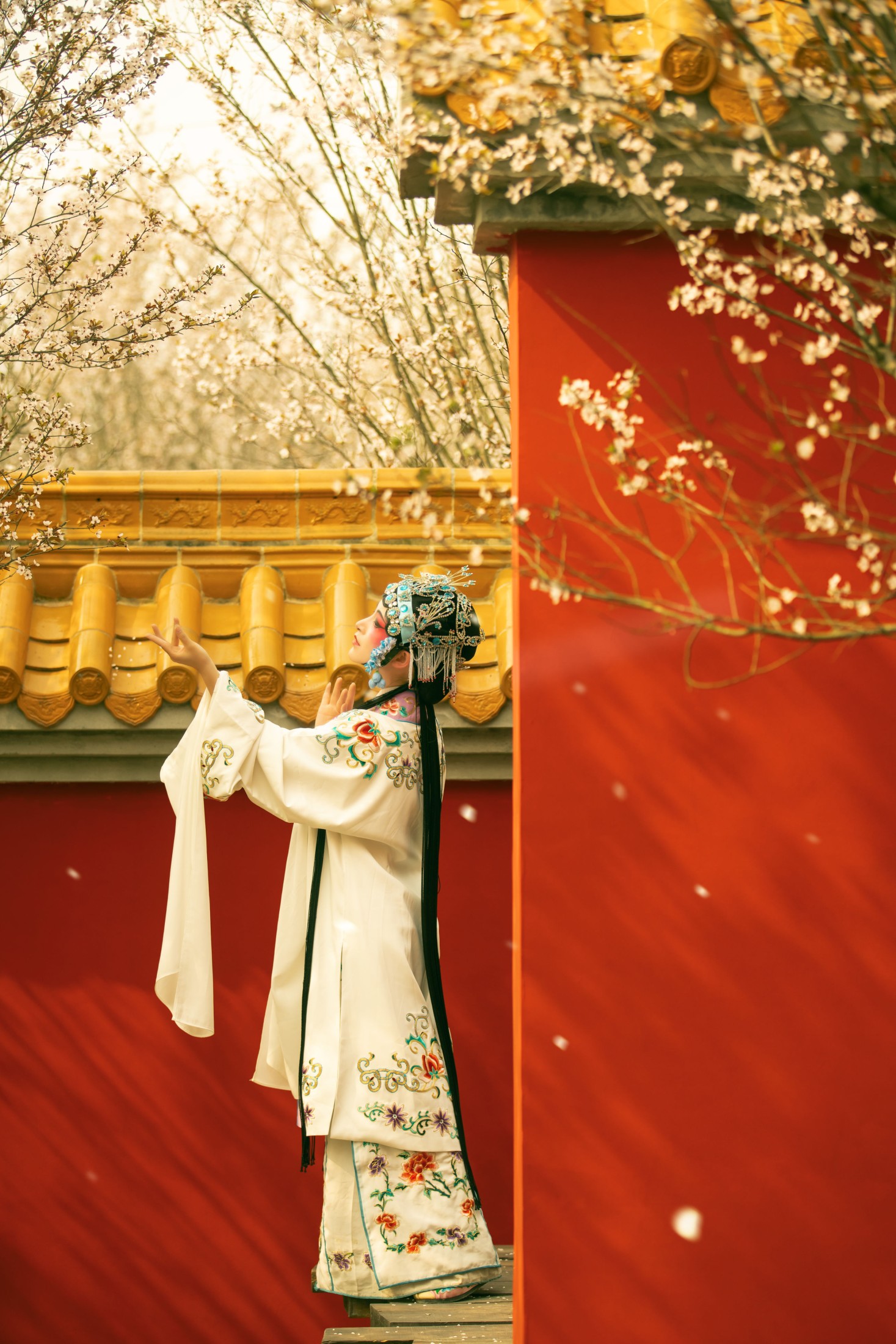 修水凝花 – 《花满枝》[23P]