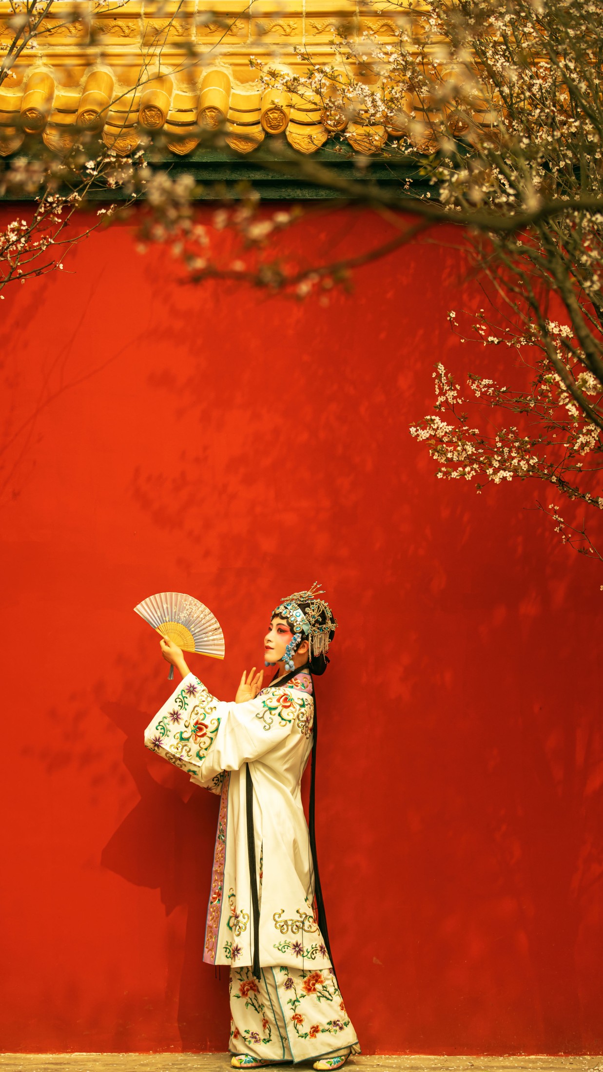 修水凝花 – 《花满枝》[23P]