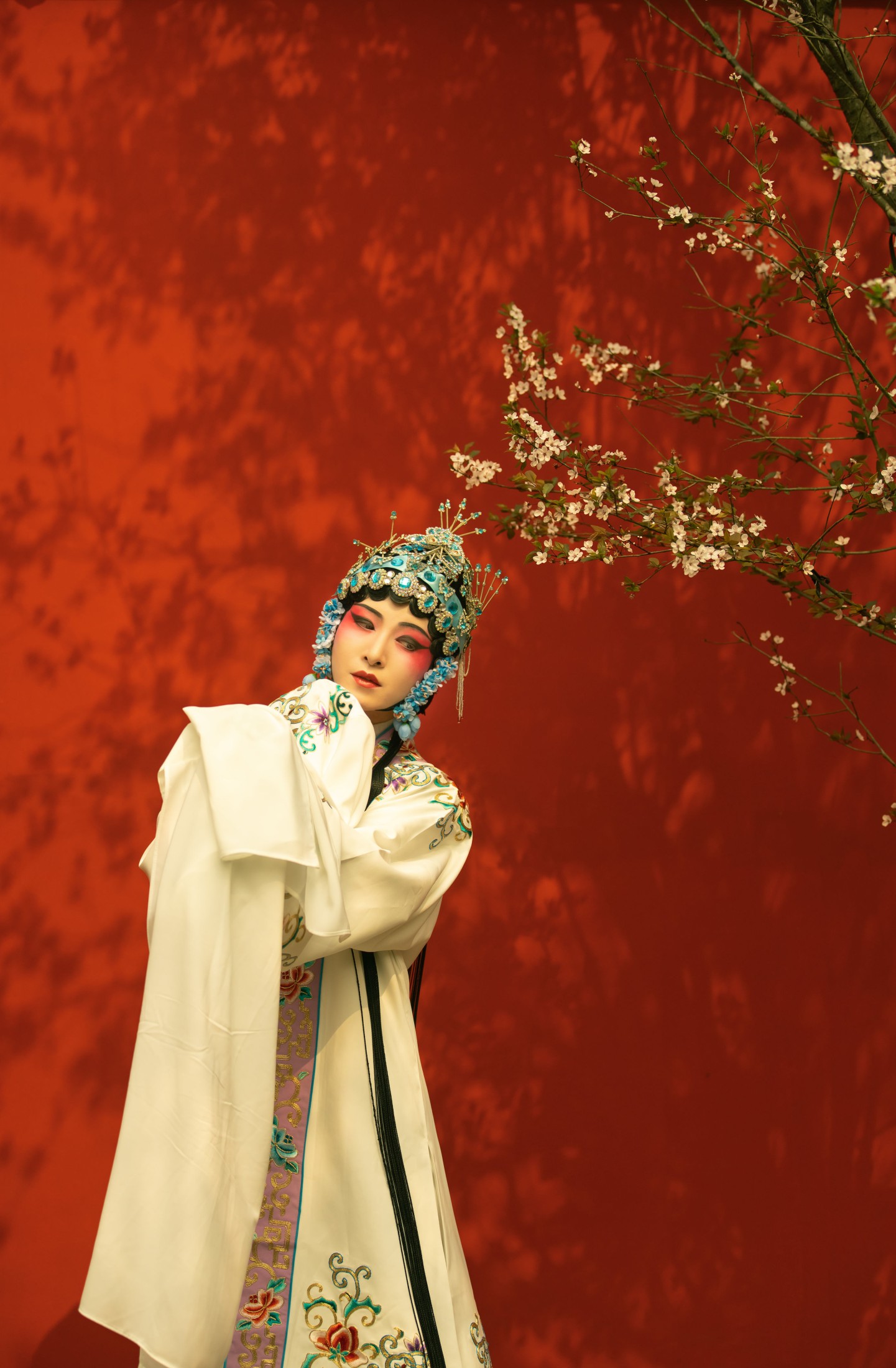 修水凝花 – 《花满枝》[23P]