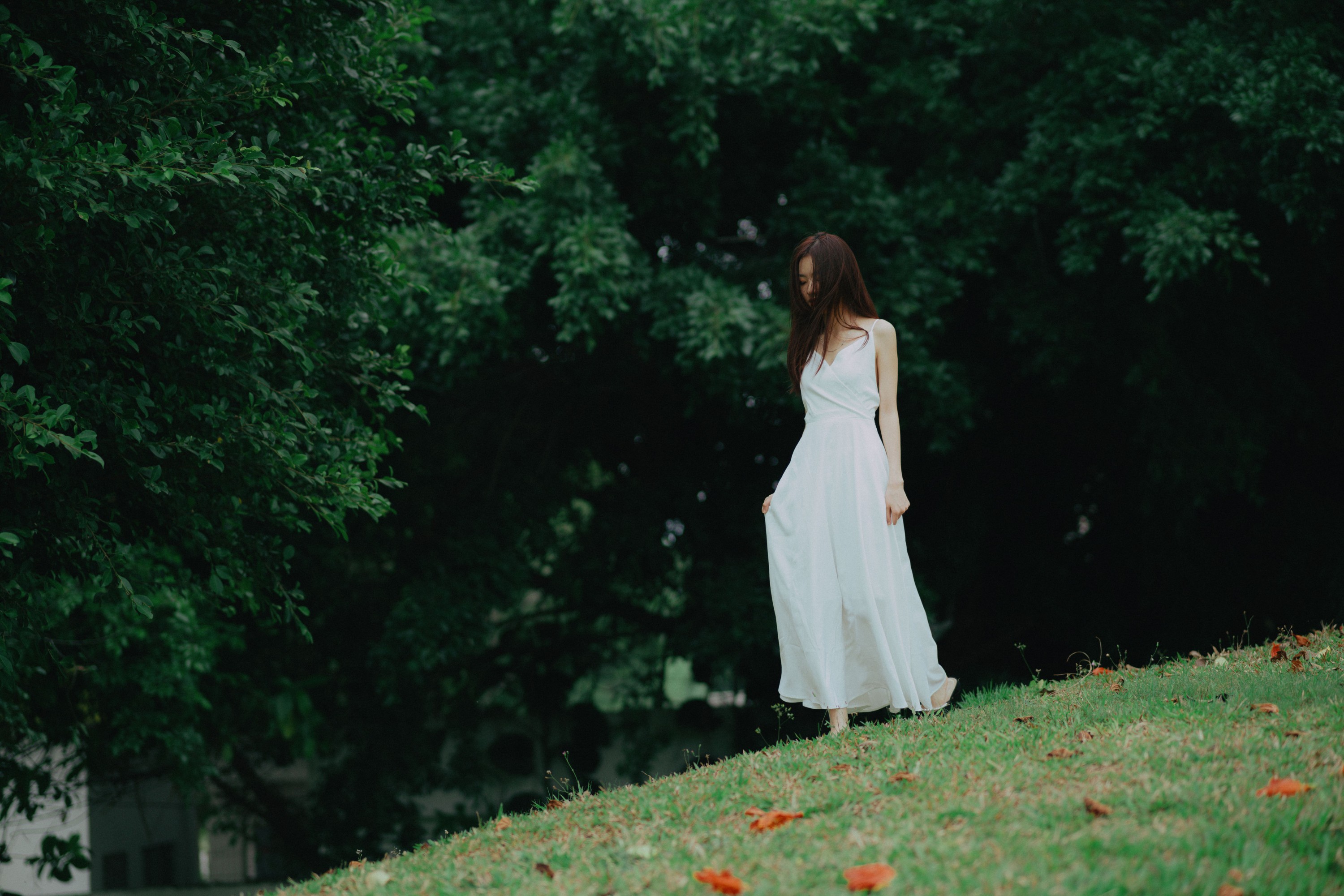 小PP – 《游园》[34P]