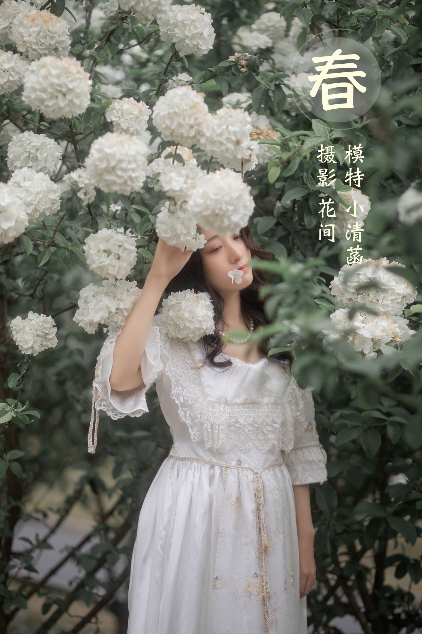 小清菡呀  – 《春》[21P]